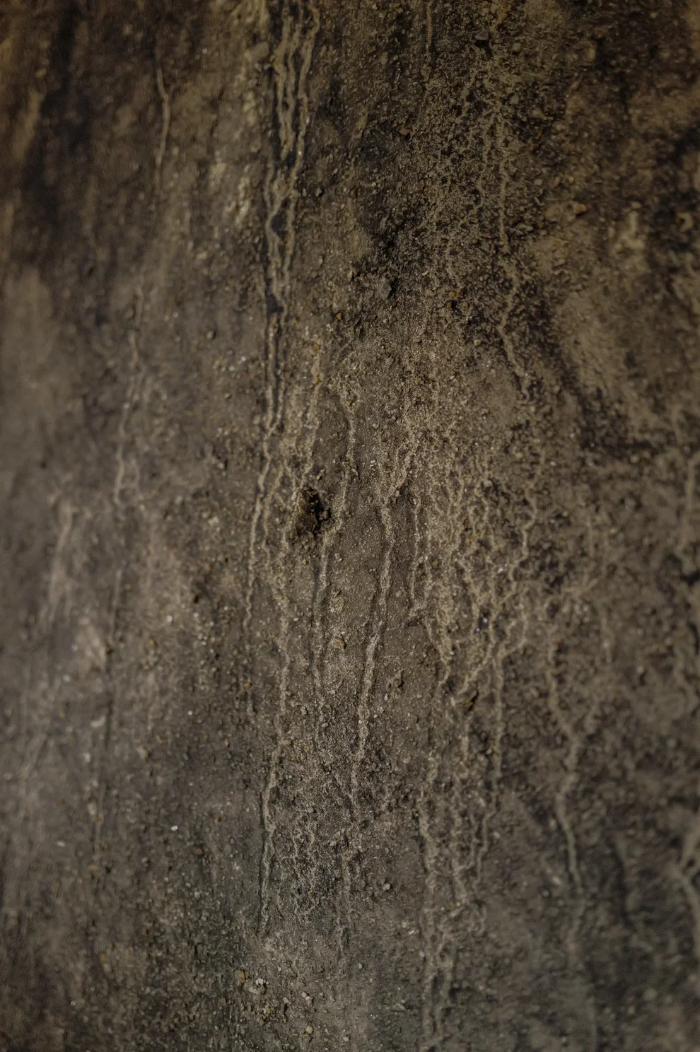 L1031273.webp