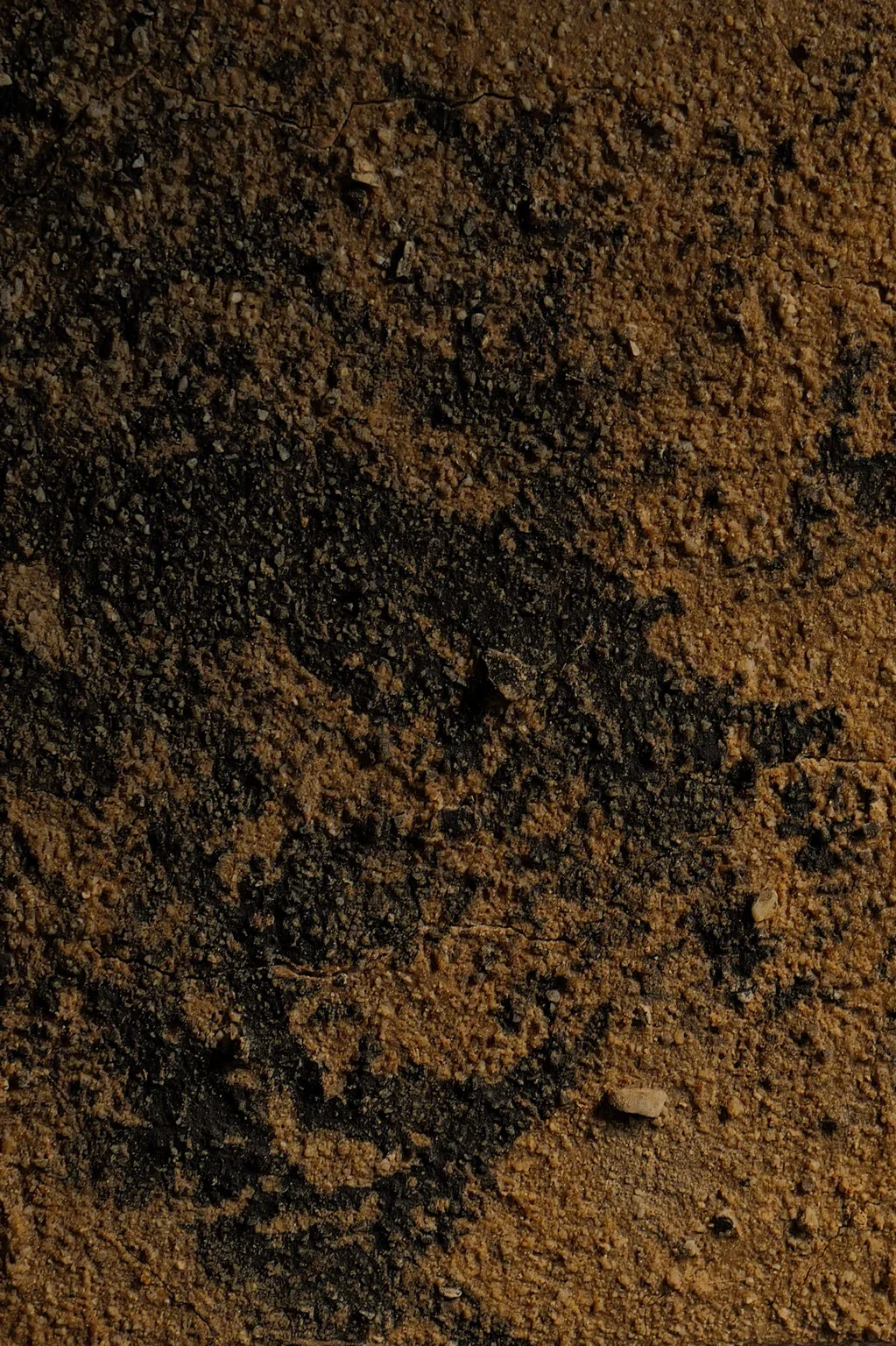 l1.webp