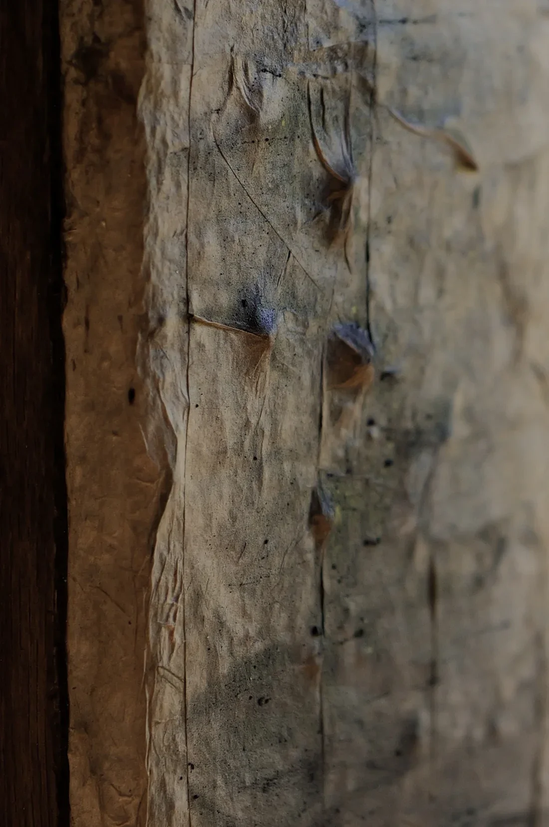 phobjikha-valley-iv-detail-01.webp
