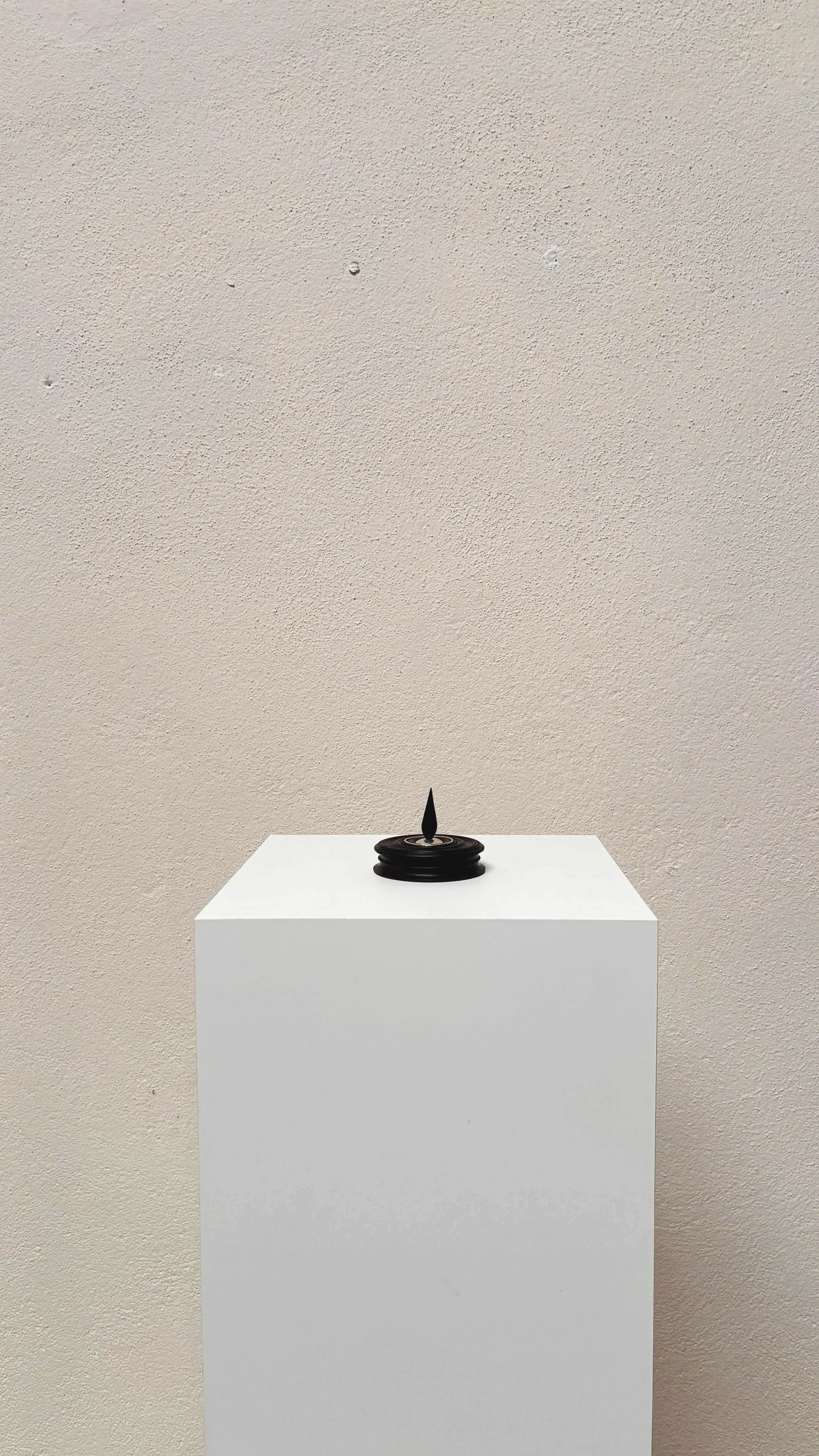 Box in Rosewood with Sterling silver applications | Antje Weber