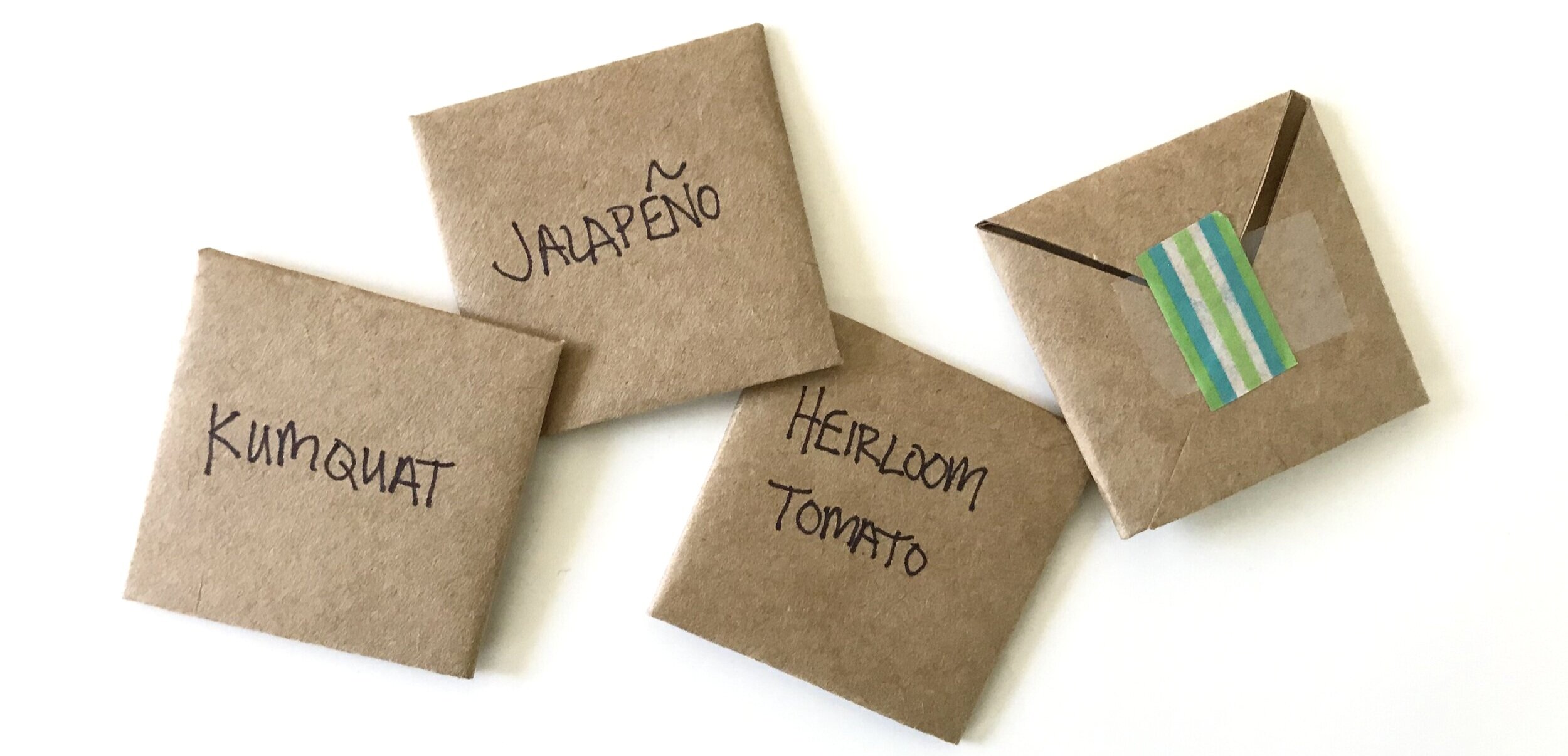 How To: Make Seed Envelopes — The Everyday Details