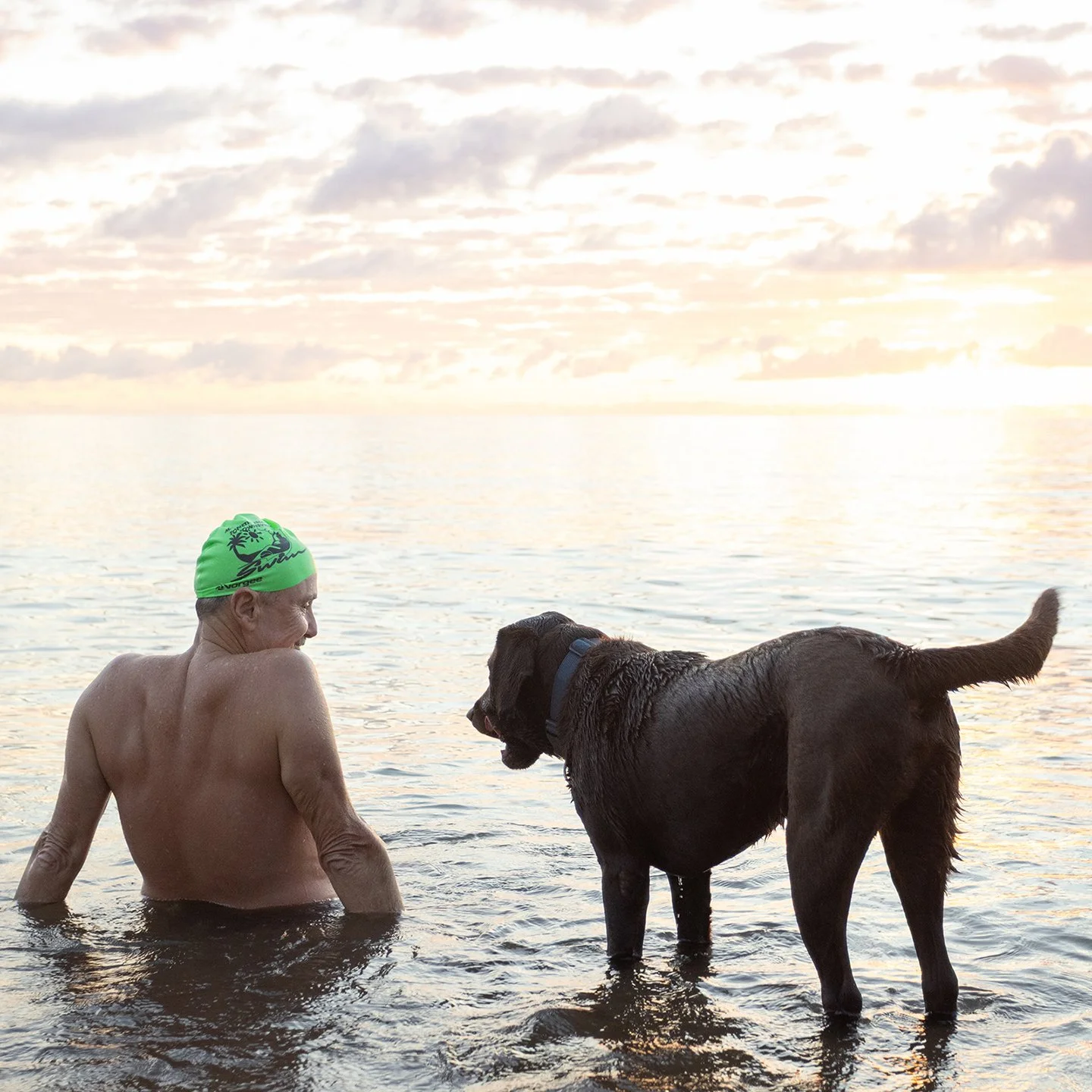 Paws on shore