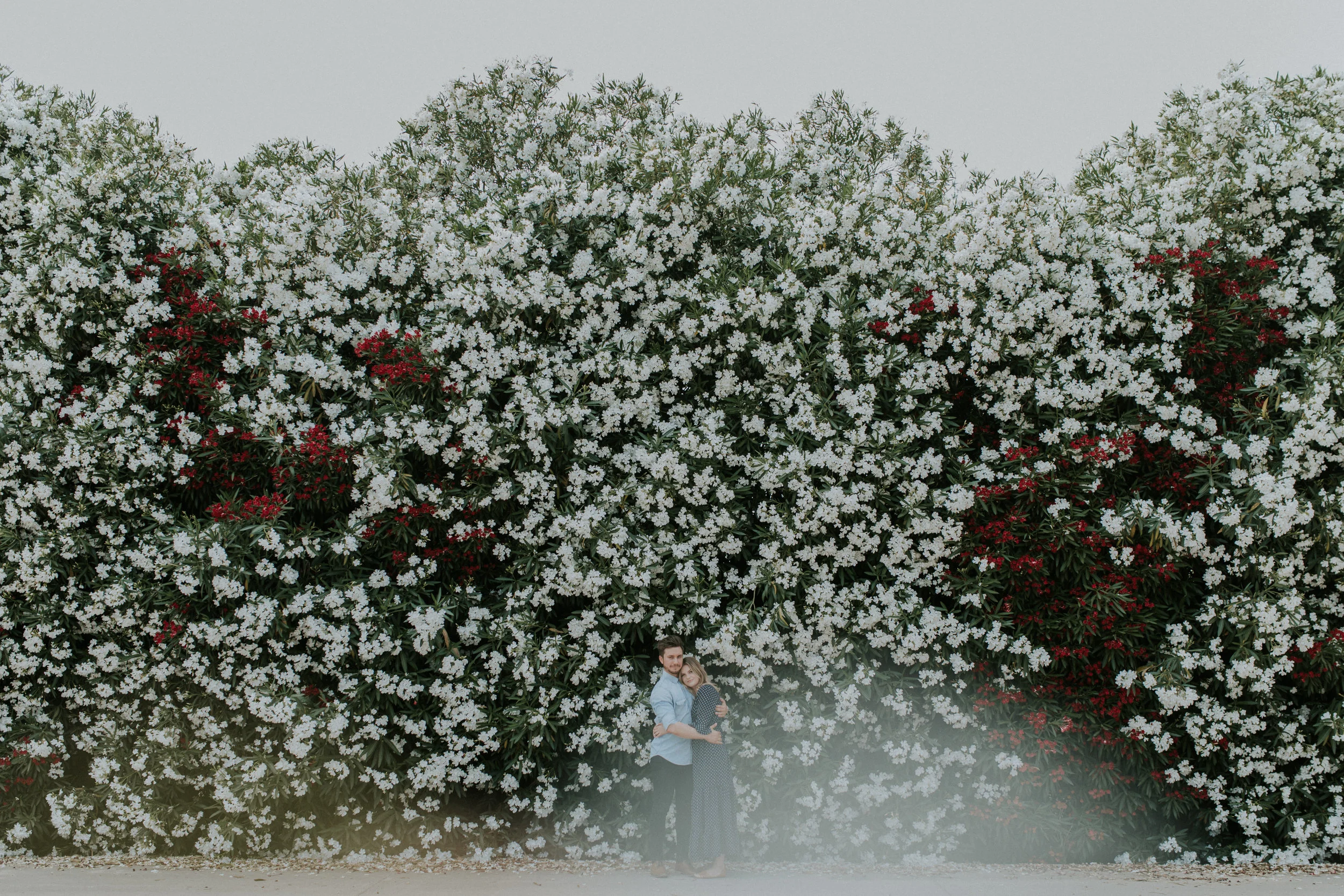 point reyes engagement session | northern california