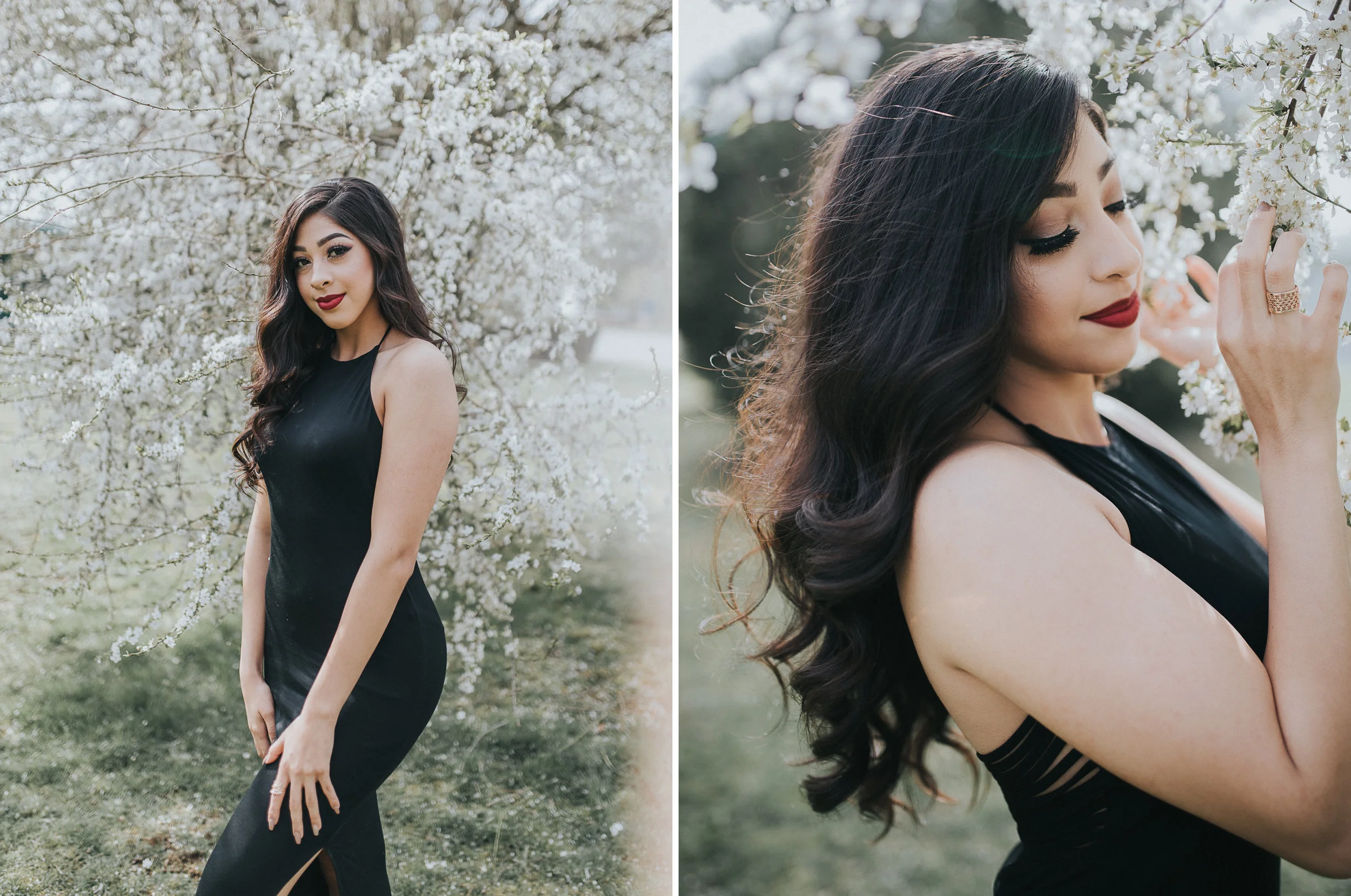 direct sunlight cherry blossoms | photography behind the scenes video