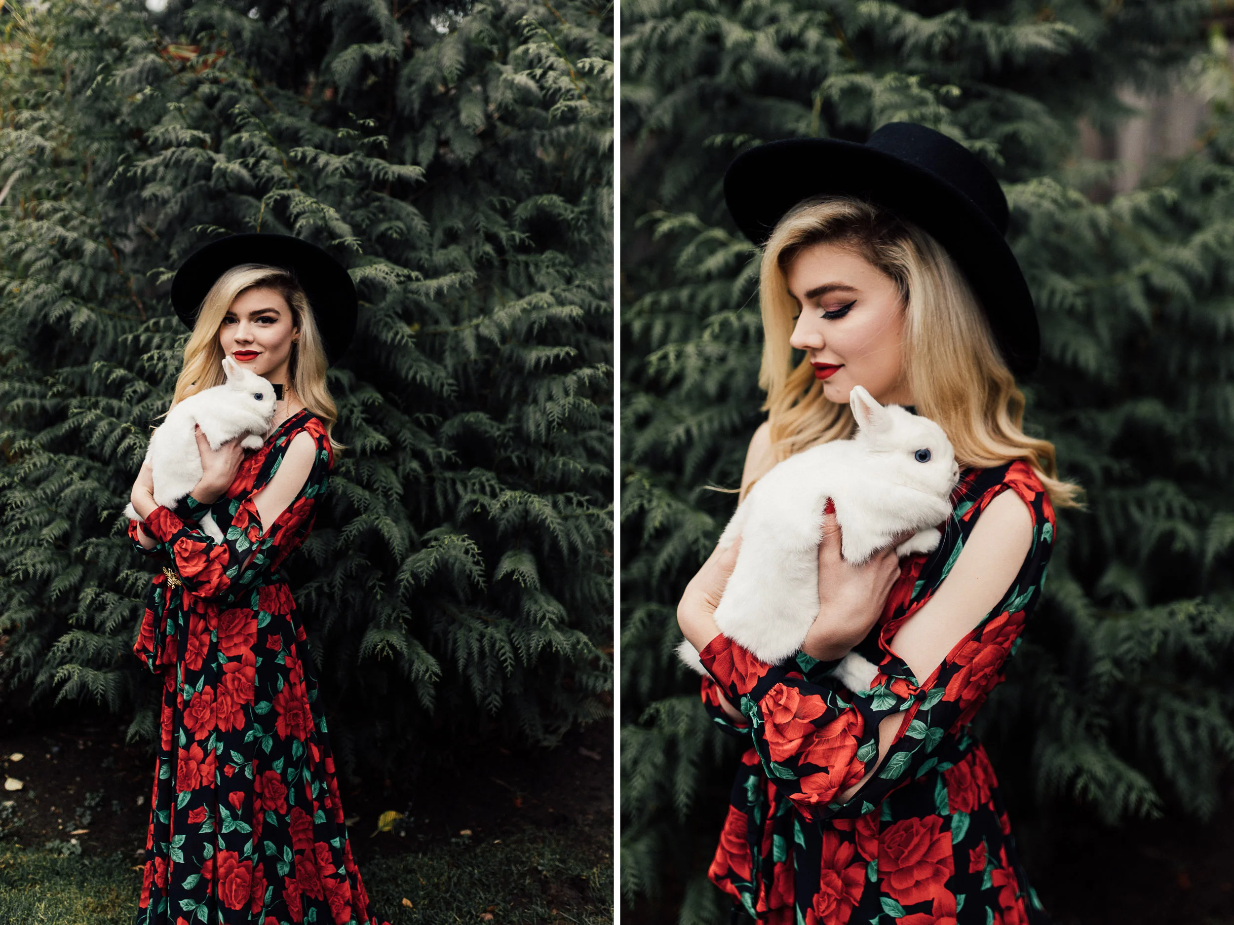 merry christmas from me + pinecone 