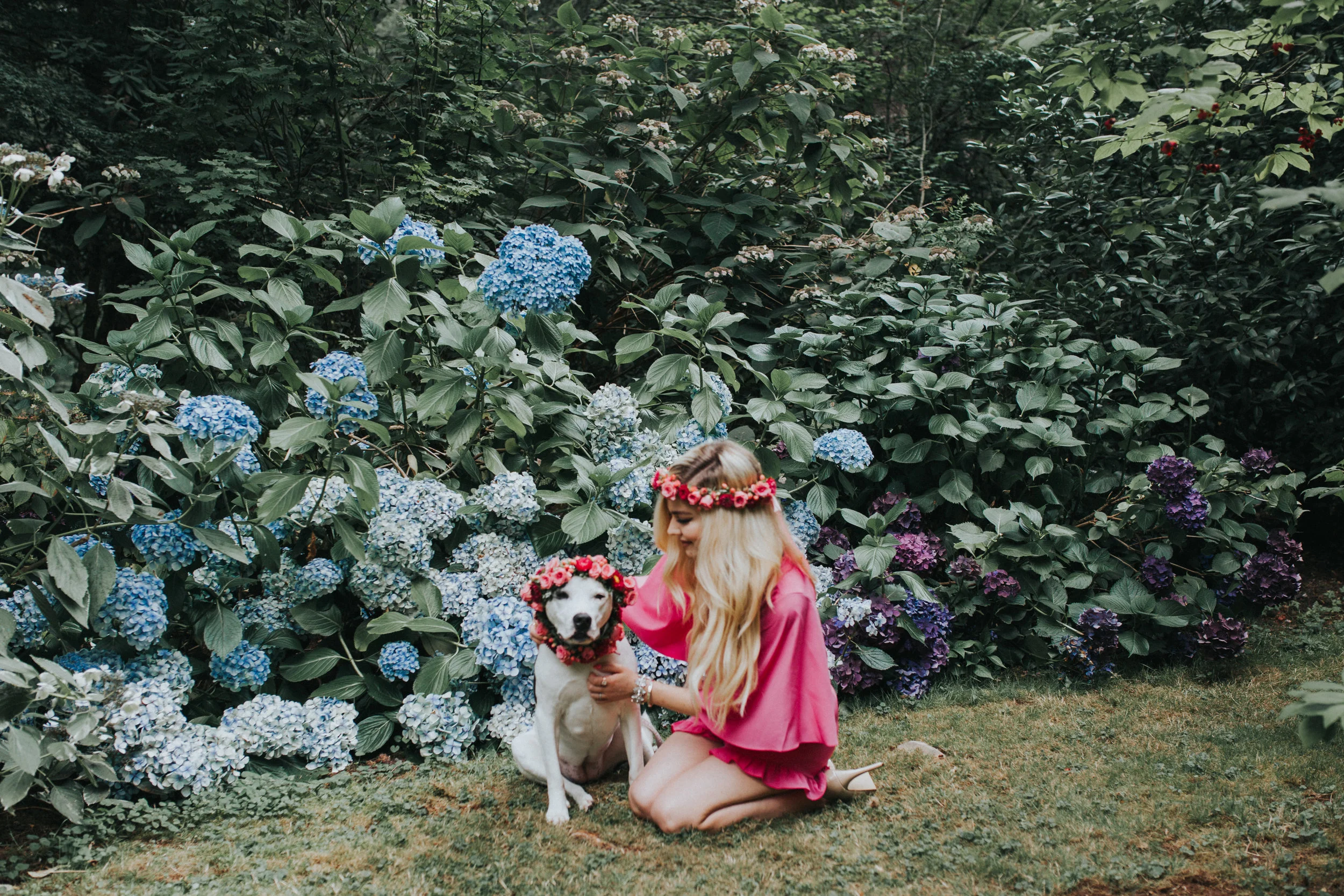 dog flower crowns | celebrating 10k on intagram