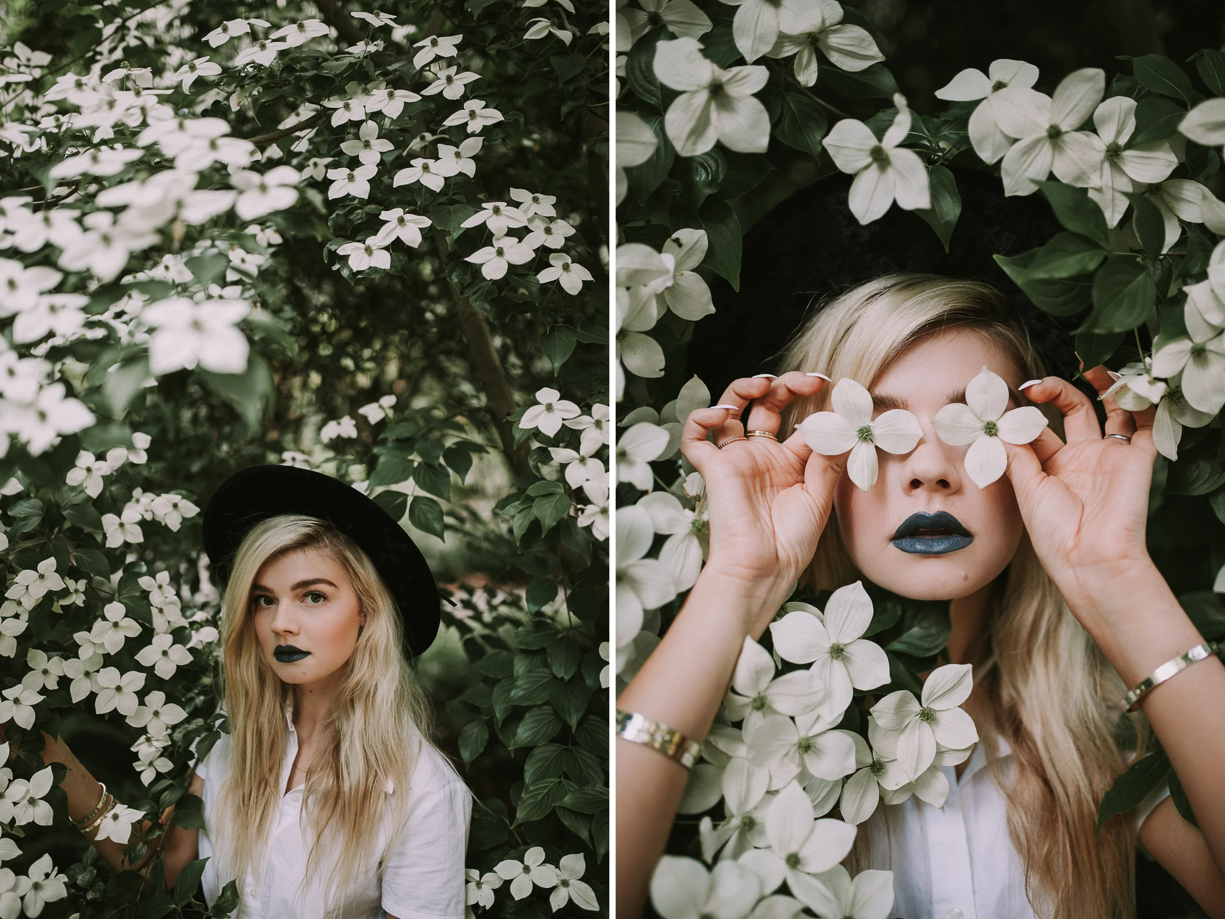grey lips x dogwood tree