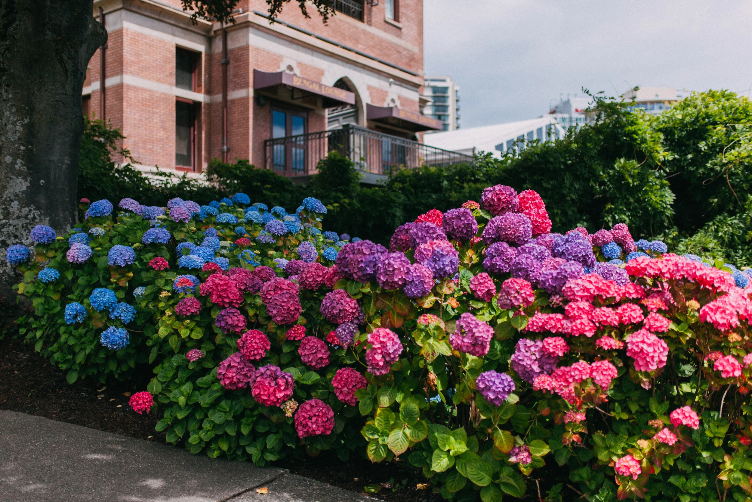 VICTORIA, B.C. | day two