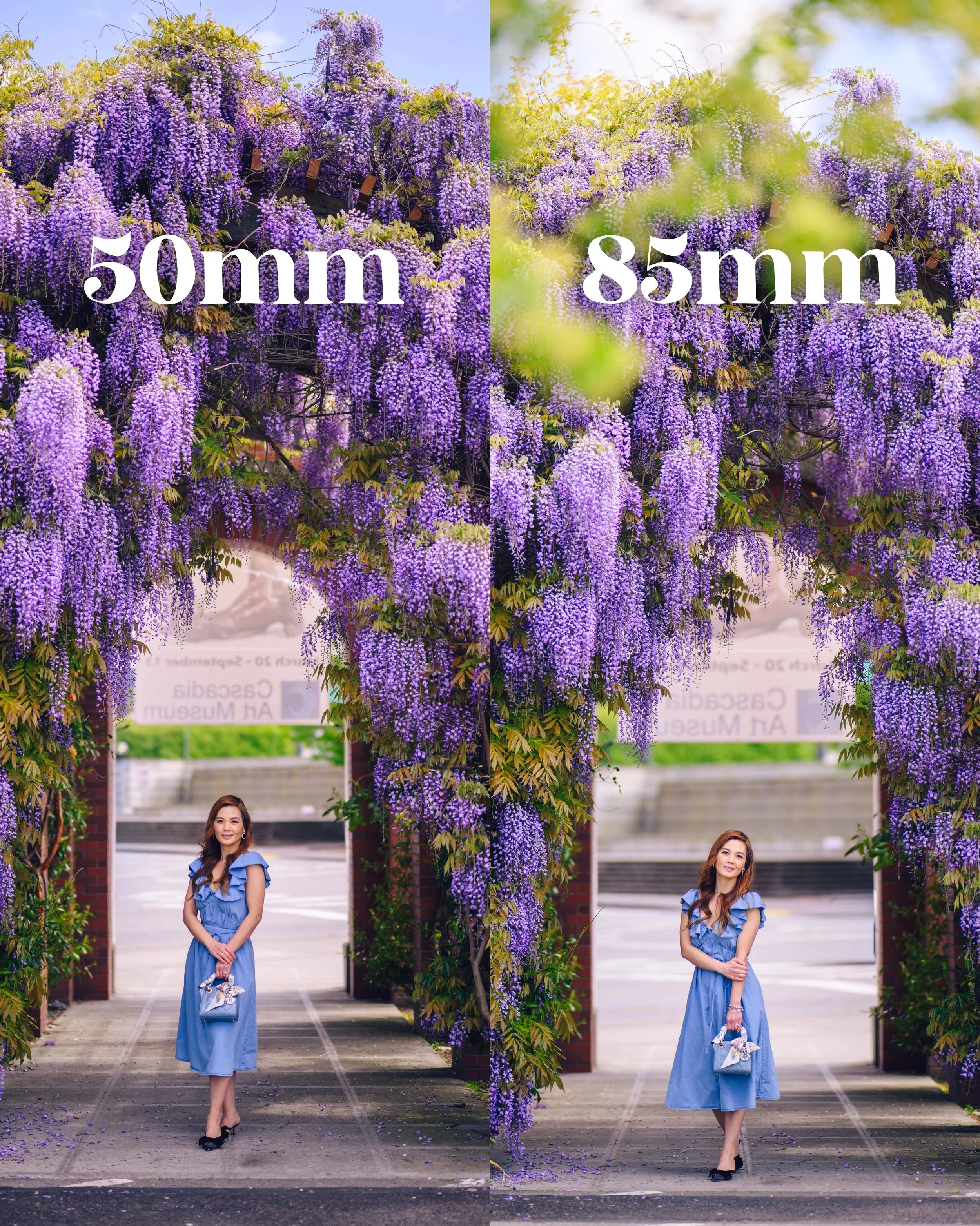 50mm vs 85mm f/1.2 Prime Lens Comparison for Portrait and Wedding Photographers | Which Should YOU Buy?