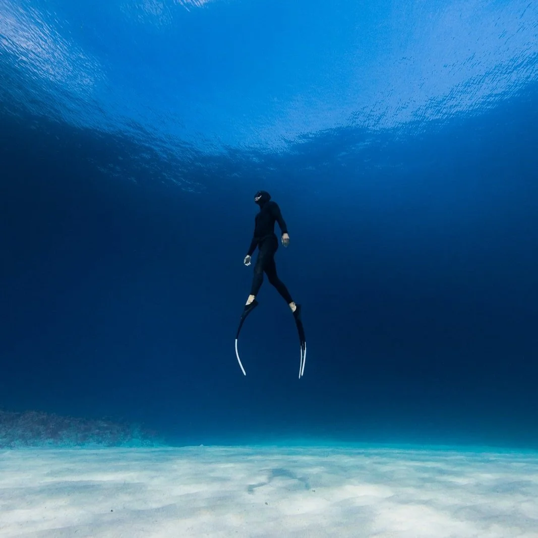 A person wearing a wetsuit and flippers, swimming underwater in the ocean.