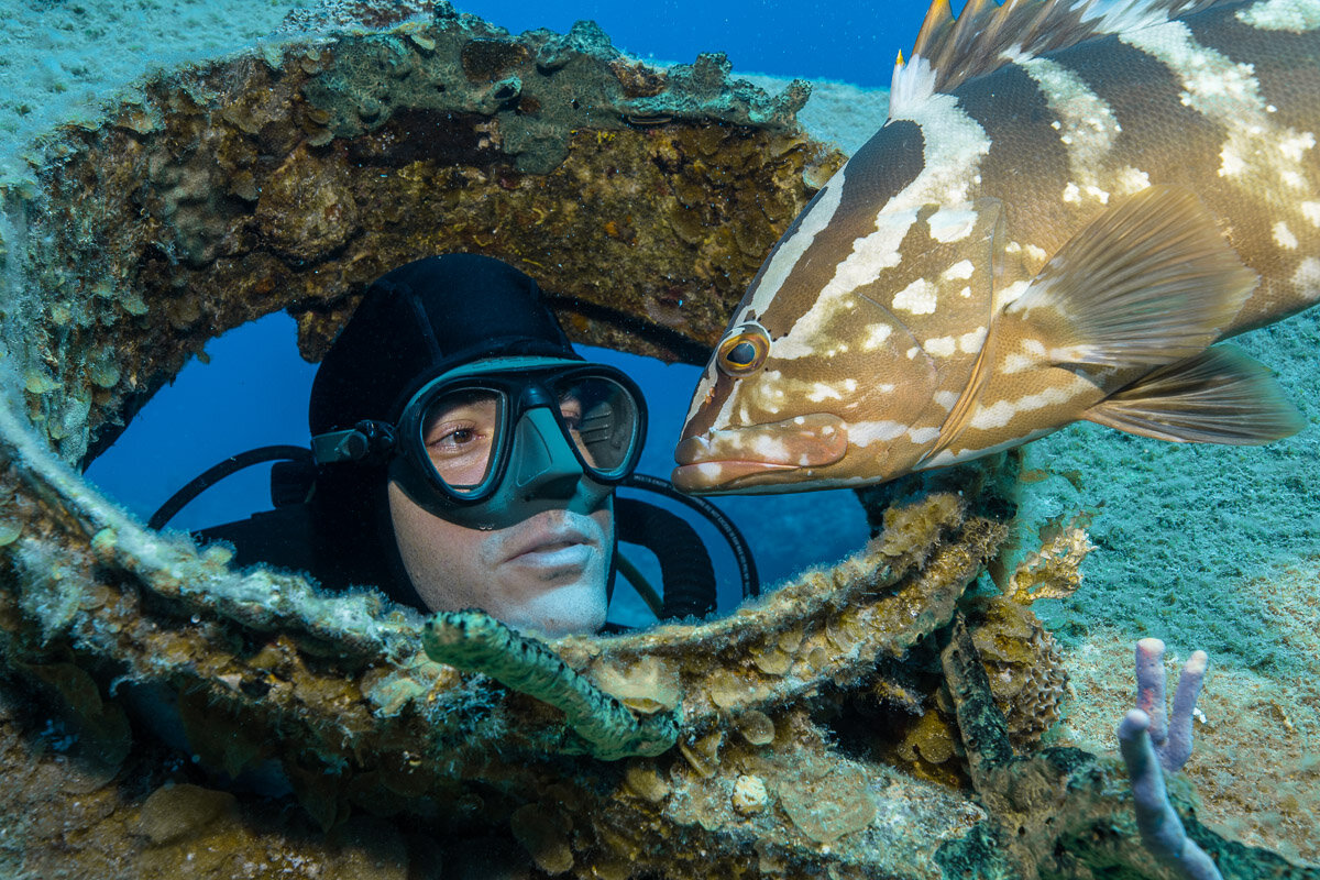 A scuba diver is underwater, looking through a hole in a coral reef at a fish near the opening.