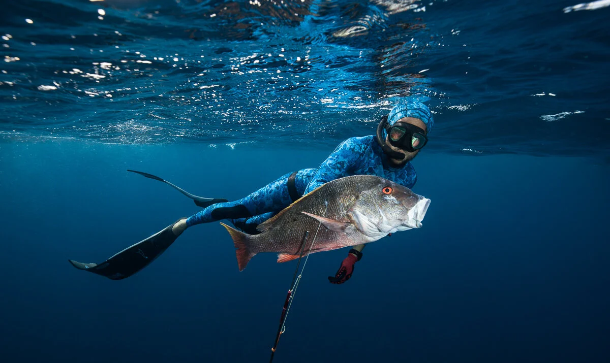 An underwater photograph of a scuba diver in a blue wetsuit holding a large fish, with a fishing pole attached to the fish's mouth.