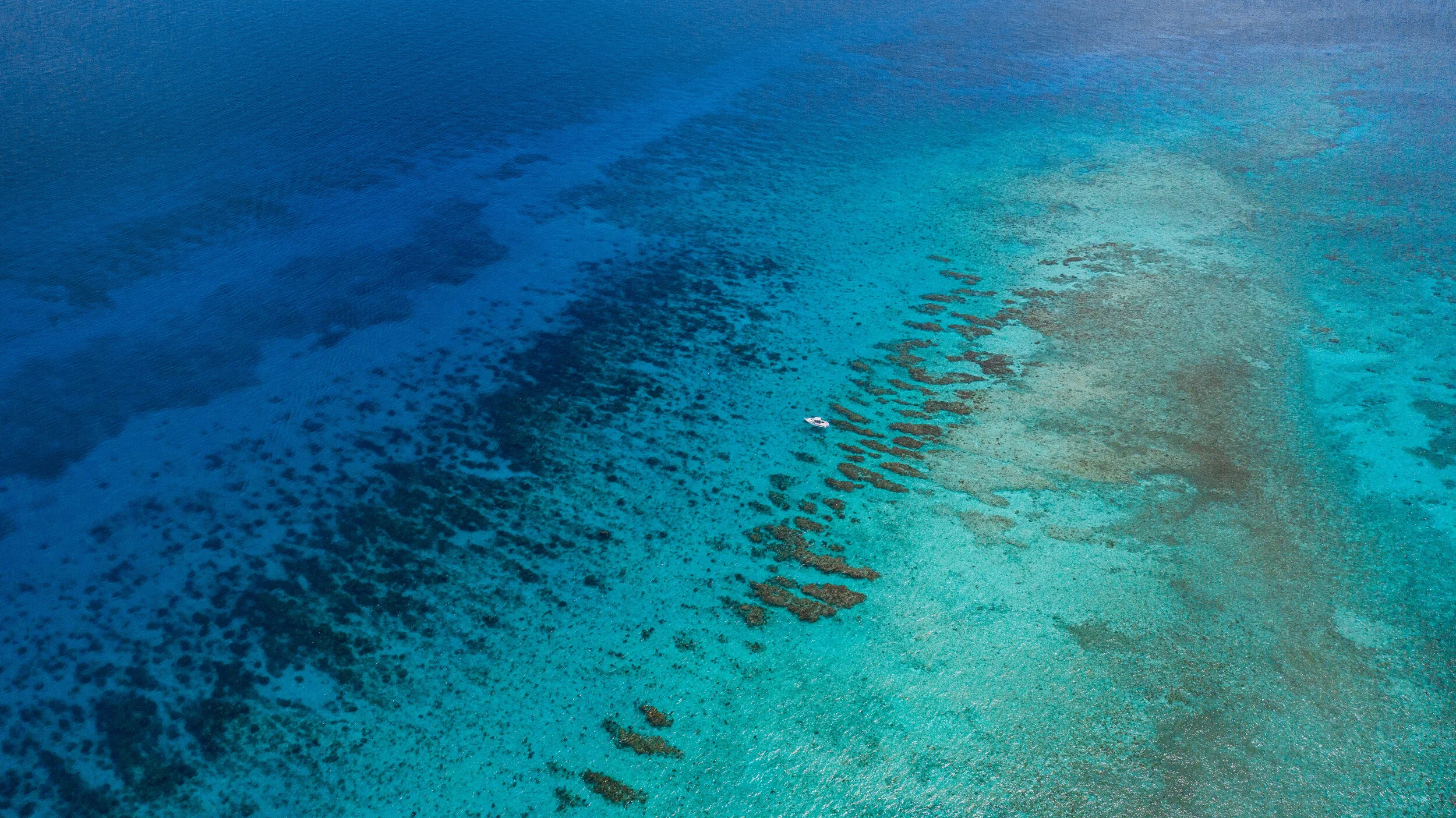 Sweetness at SWR (Web)-3.jpg