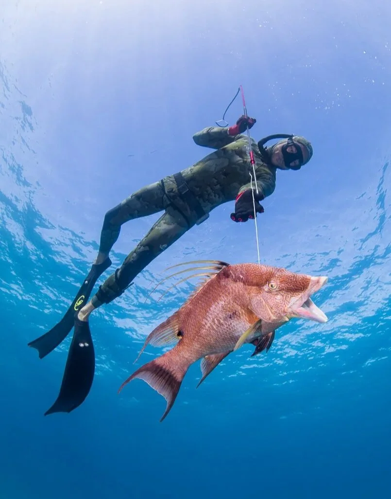 A person in camouflage wetsuit, fins, and sunglasses is underwater holding a fishing rod and a large red fish with an open mouth.