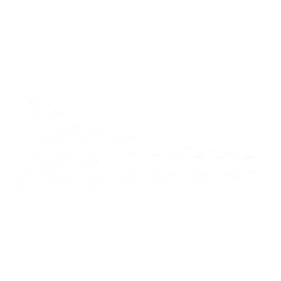 Bahamas Dive Guides