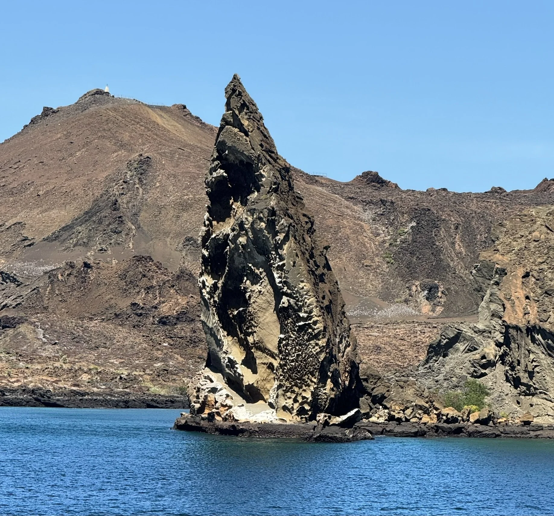 silversea orgin - north seymour &amp; SANTIAGO ISLANDS galapagos, ecuador - day 10 - september 15, 2025