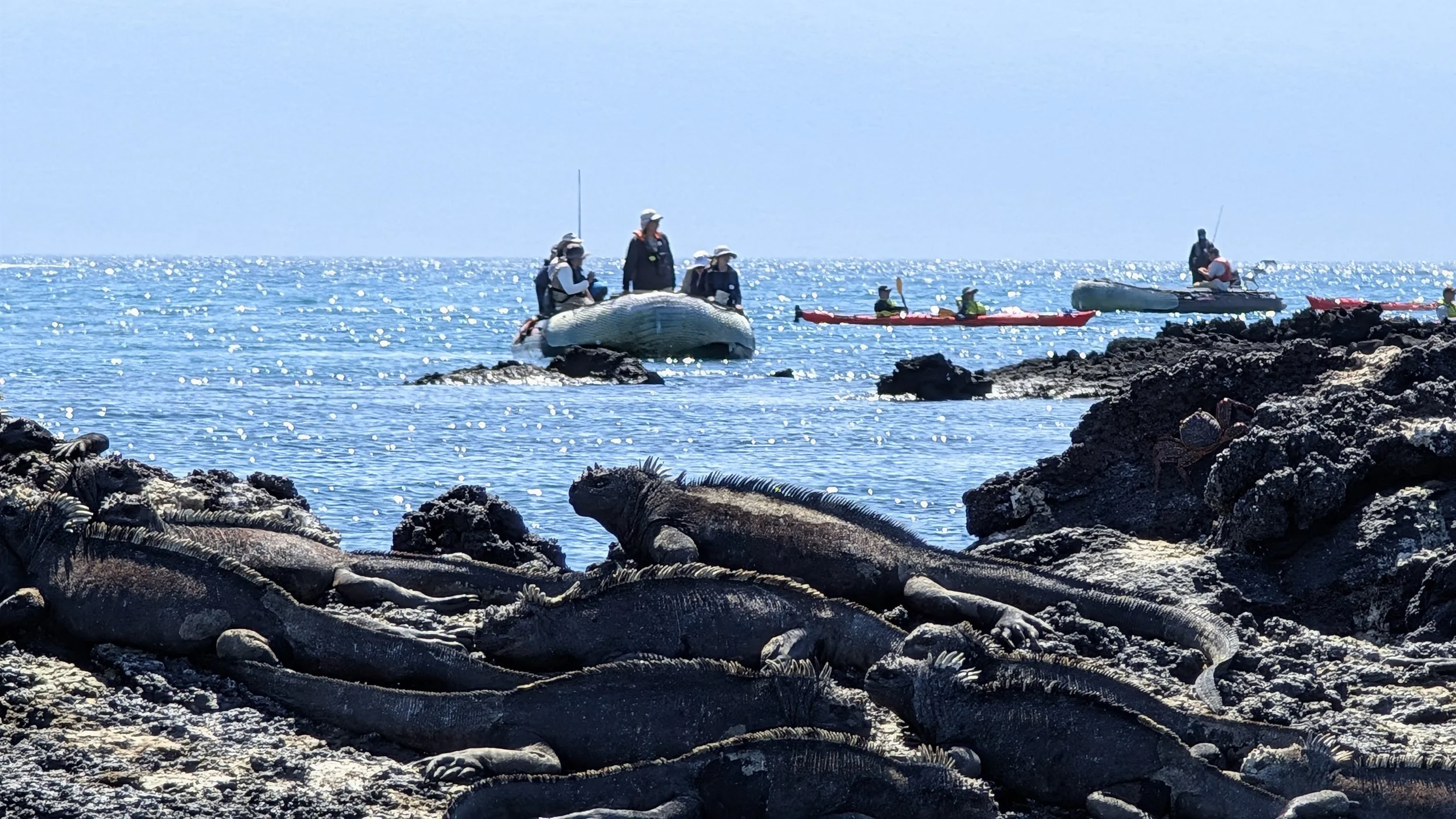 silversea orgin - fernandina &amp; ISABELA ISLANDS, galapagos, ecuador - day 11 - september 16, 2025