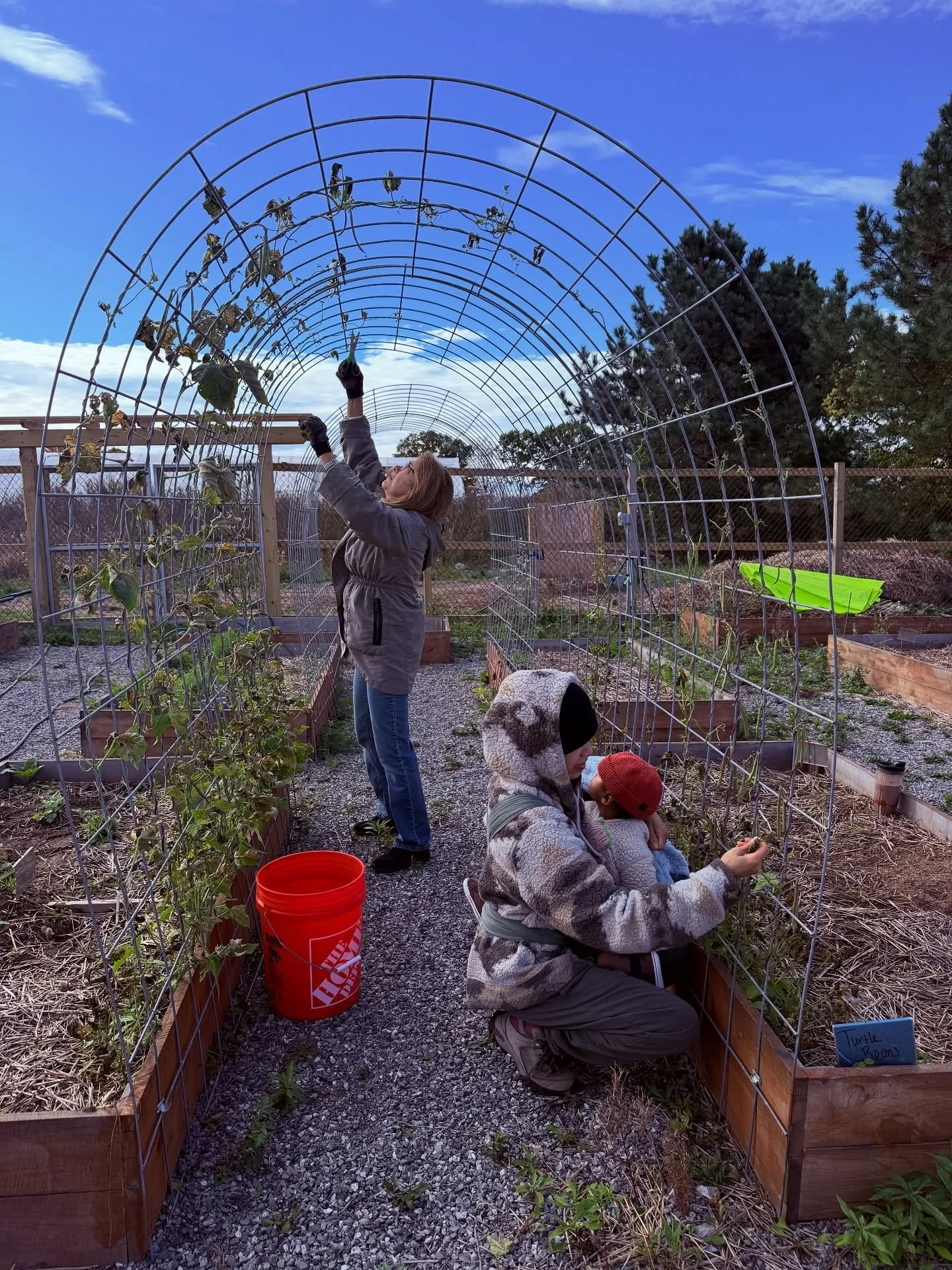 🌿 In the garden, generations meet — hands young and old tending the same soil, sharing stories through seeds and seasons. What one plants, another will water. What one teaches, another will carry forward.
The garden becomes more than a place