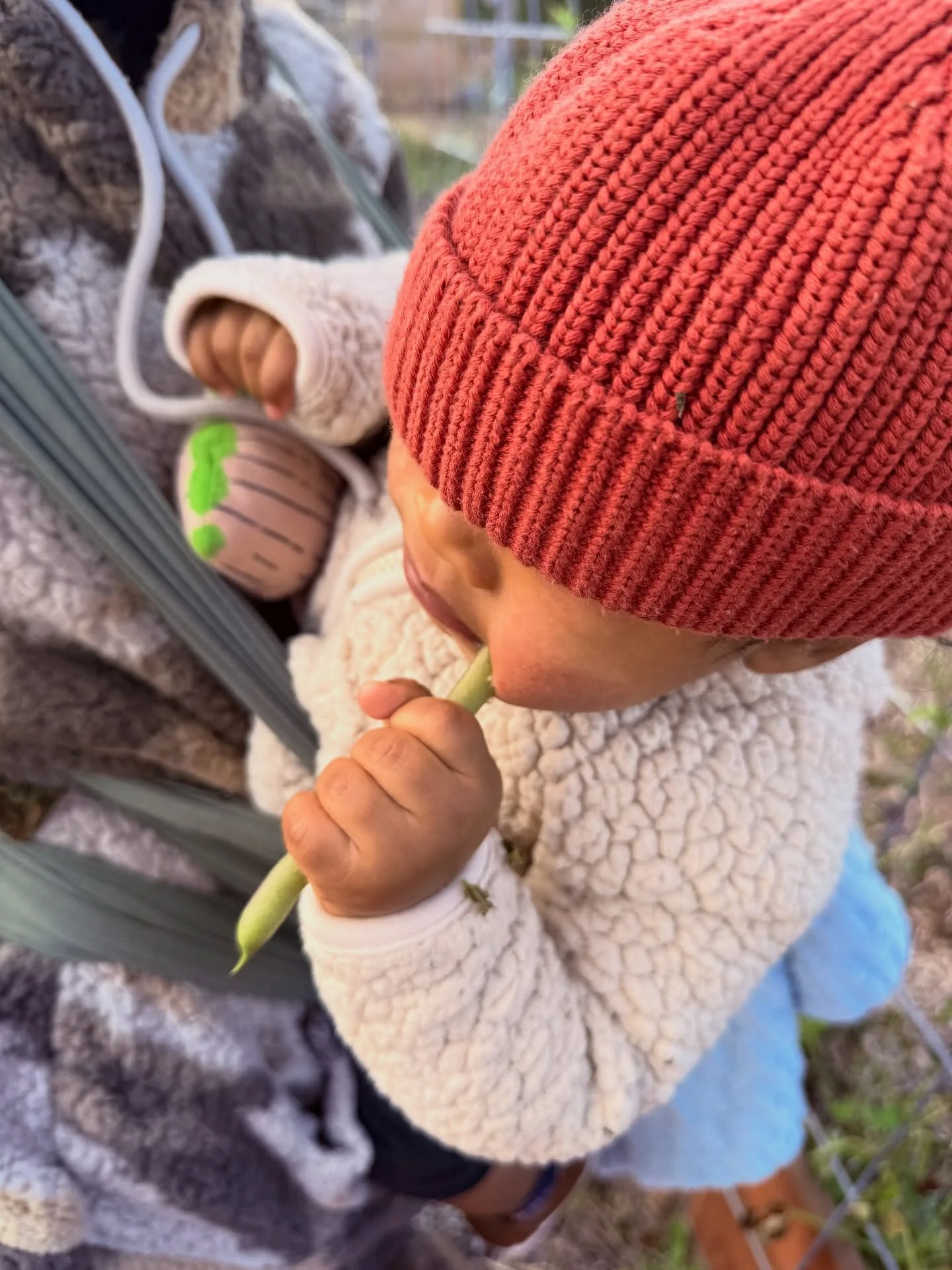 Little River giving our Cherokee Trail of Tears beans a taste test — and we’d say he approves! 🫘✨ Planted by our youth back in July, now enjoyed by the tiniest garden helper with not a single tear in sight. 💚
Because some stories grow