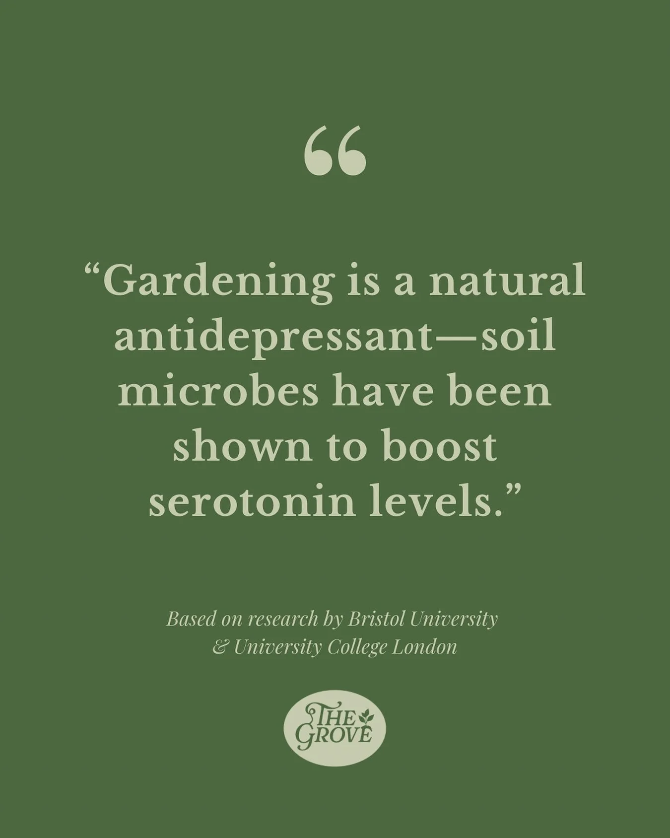 Turns out getting your hands a little dirty can do wonders for your mood. 🌱
The simple act of gardening connects us to the earth—and even helps boost serotonin, the “feel-good” chemical. No wonder time in the garden feels like ther