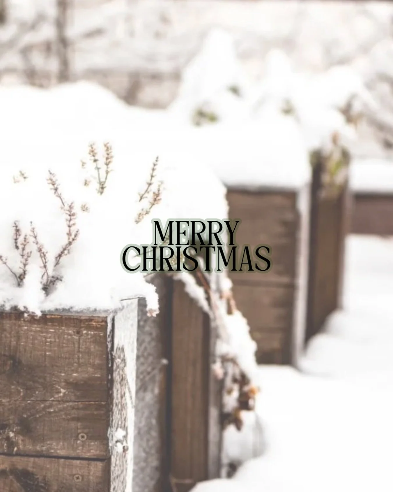 Merry Christmas from The Grove 🎄🤍
Thank you for being part of our growing community.

#MerryChristmas #FromTheGrove #SeasonOfJoy #WinterVibes #Grateful SlowDown Community CozySeason