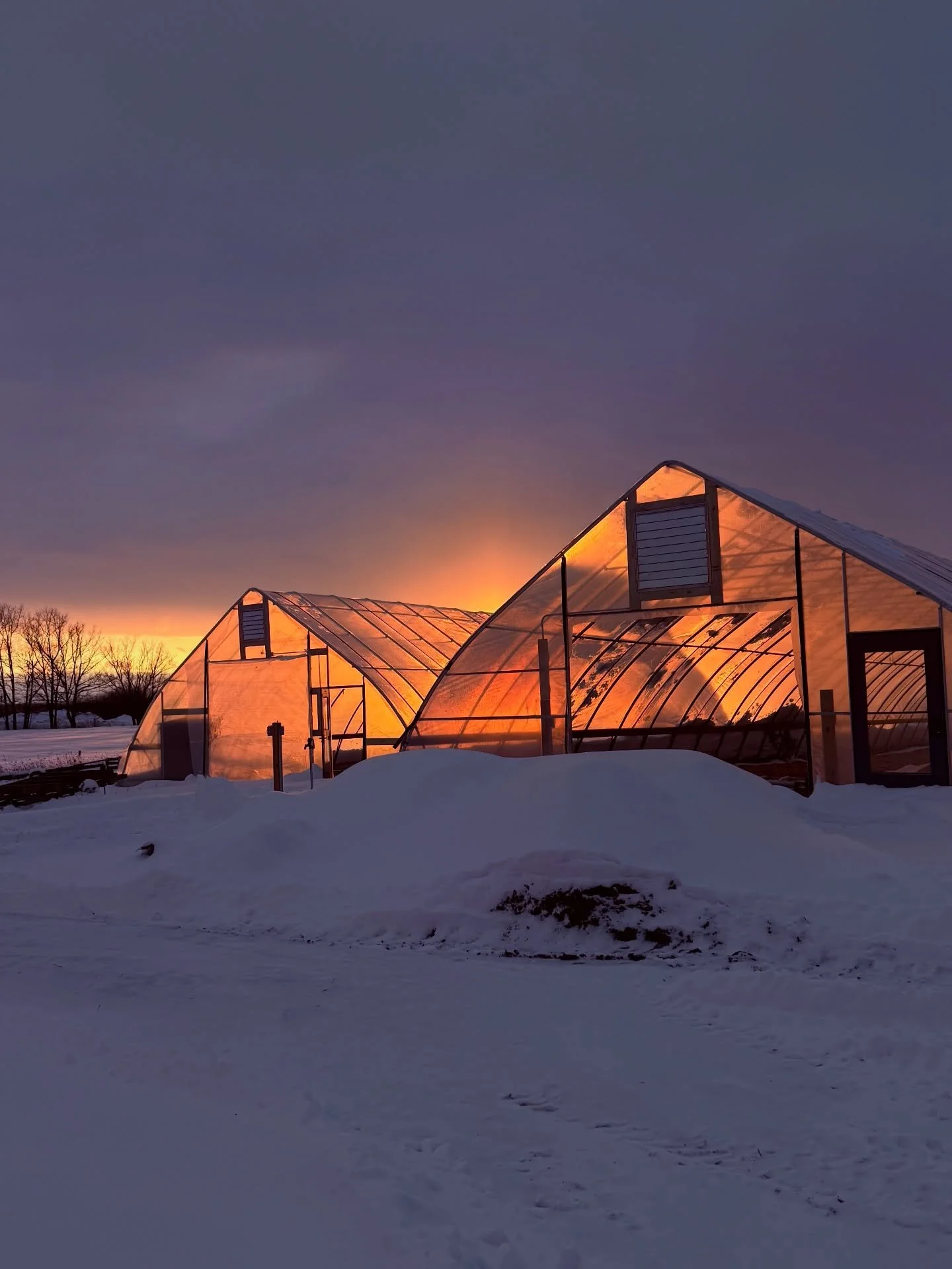 Winter at The Grove looks quiet&mdash;but it isn&rsquo;t empty.

Inside these high tunnels, soil is protected, plans are taking shape, and the work of the next growing season is already underway.

Community gardens aren&rsquo;t built in a day. They&r