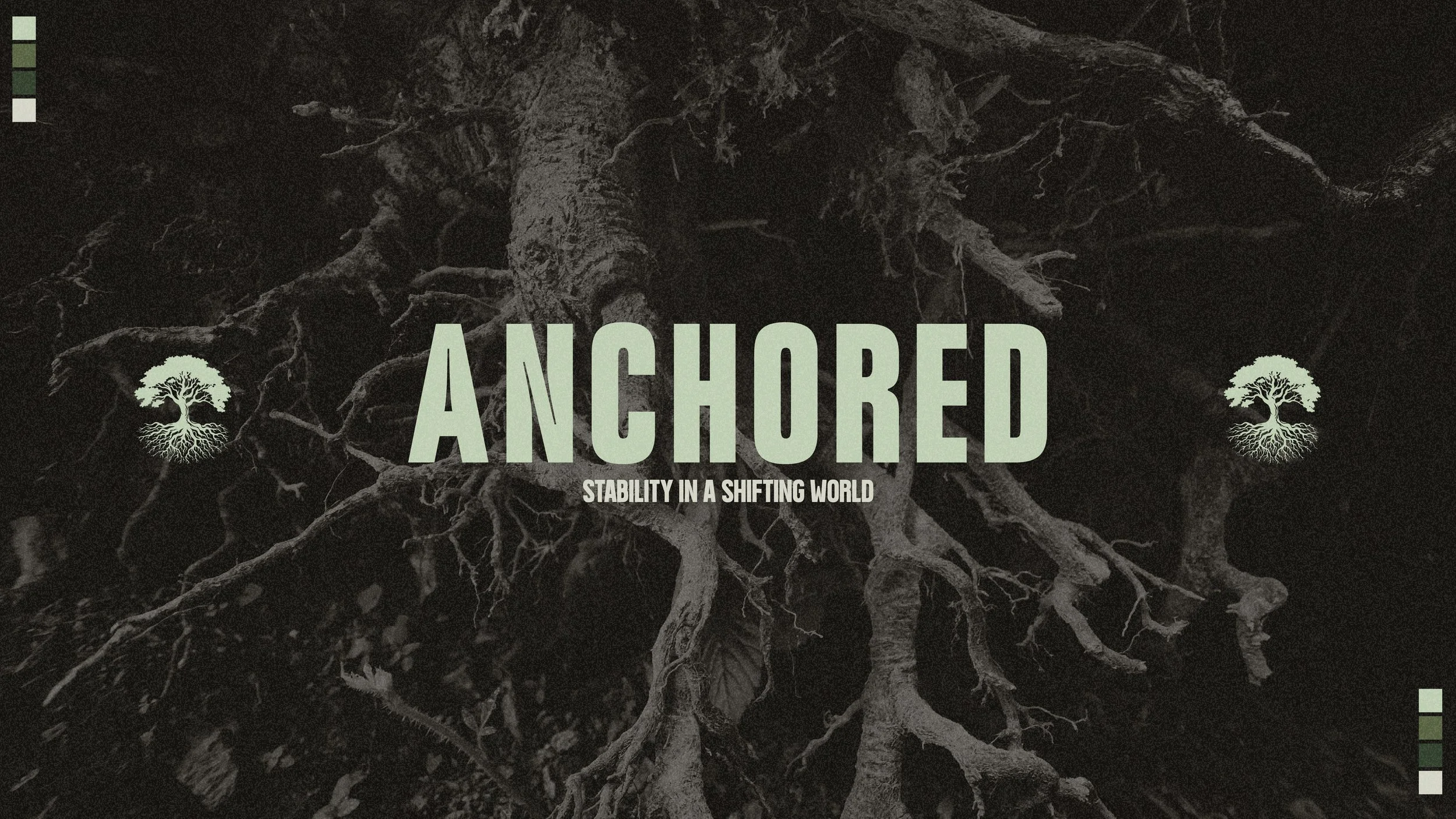 Anchored, “Living by God's Truth”