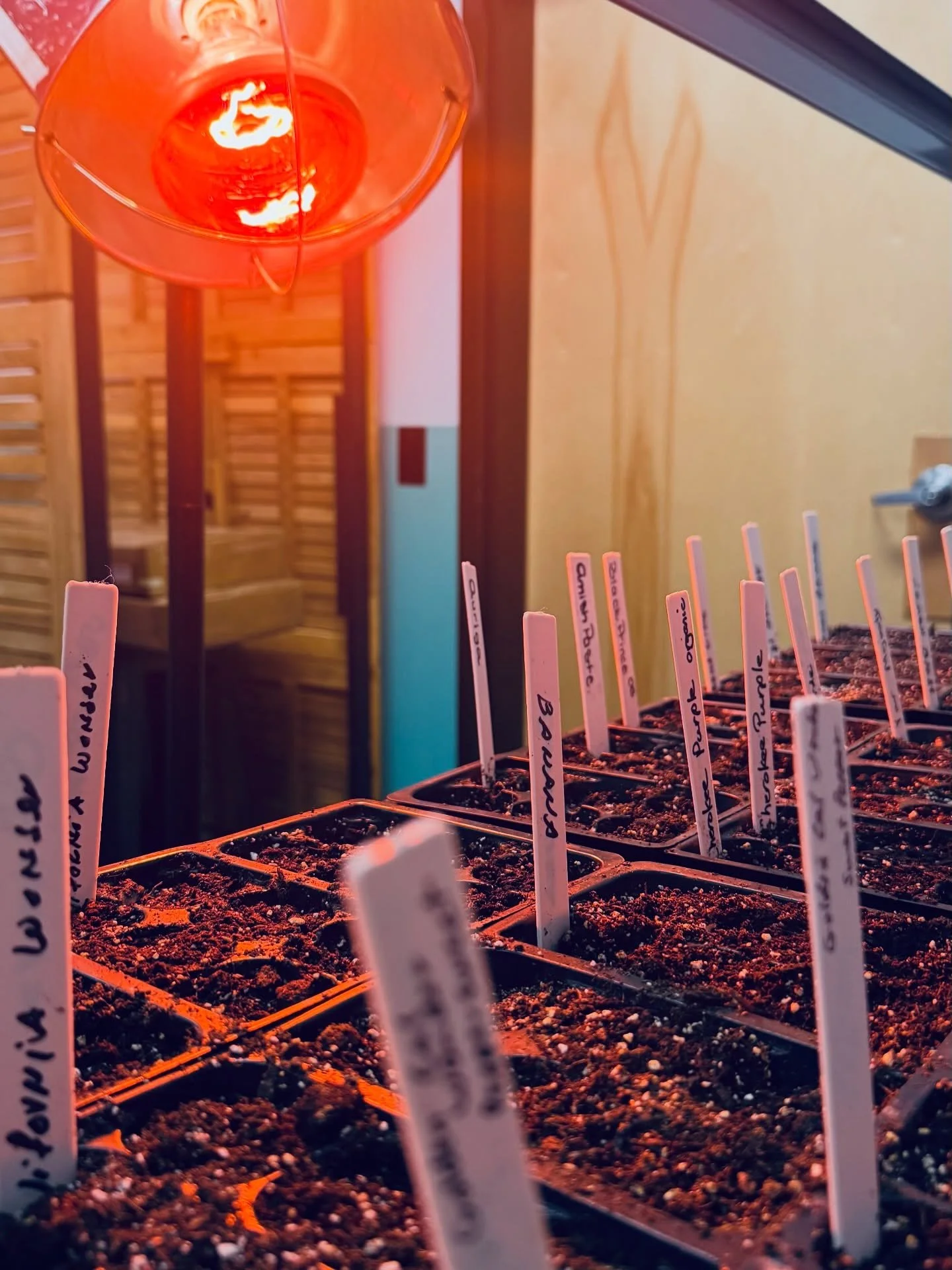 Lent feels like this.
Seeds tucked into dark soil.
Quiet. Hidden. Unseen.

No applause for the breaking open.
No spotlight on the stretching roots.

Just trust that what&rsquo;s happening beneath the surface matters.

In this season, we slow down. We