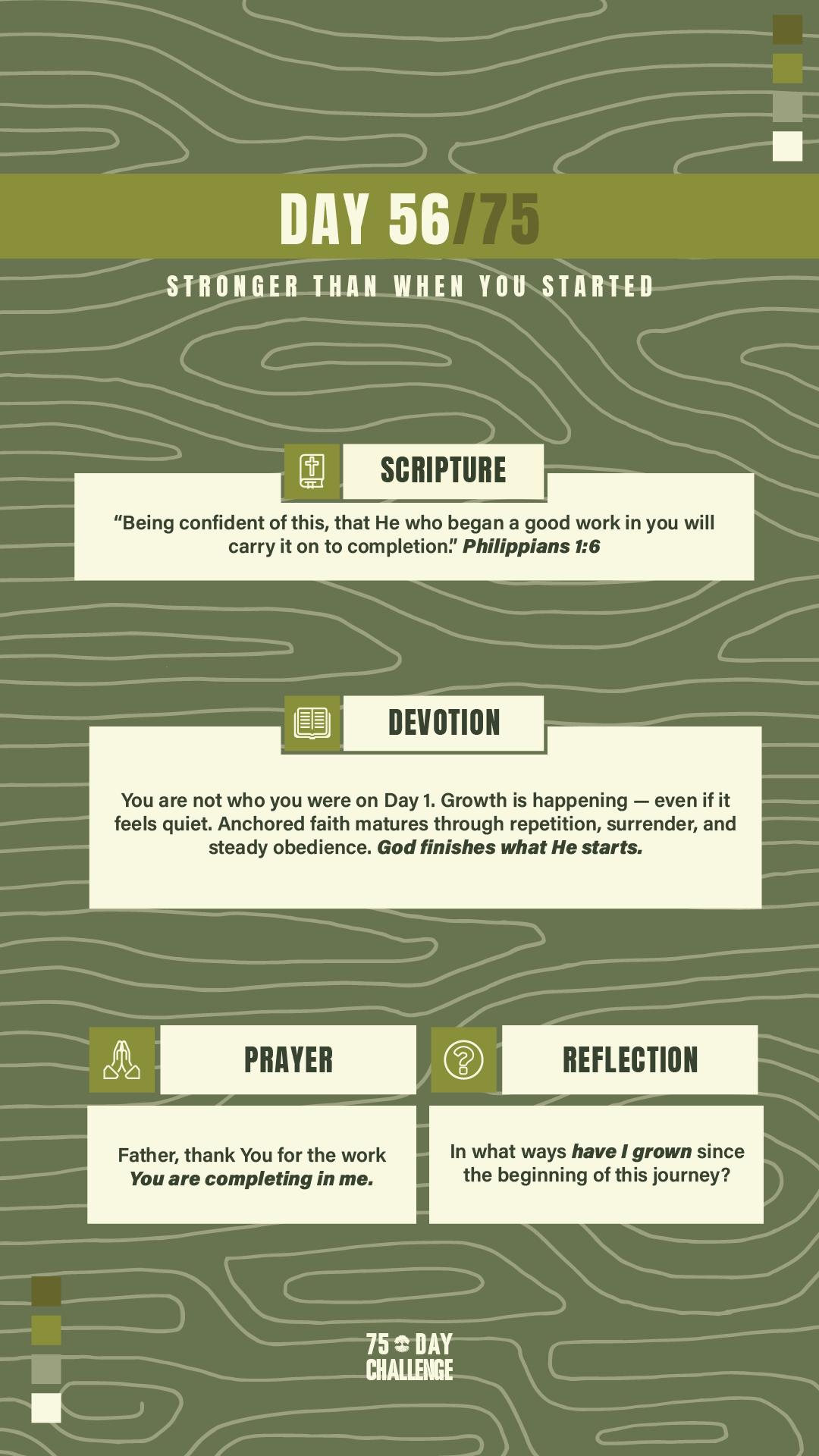 75 Day 56.png