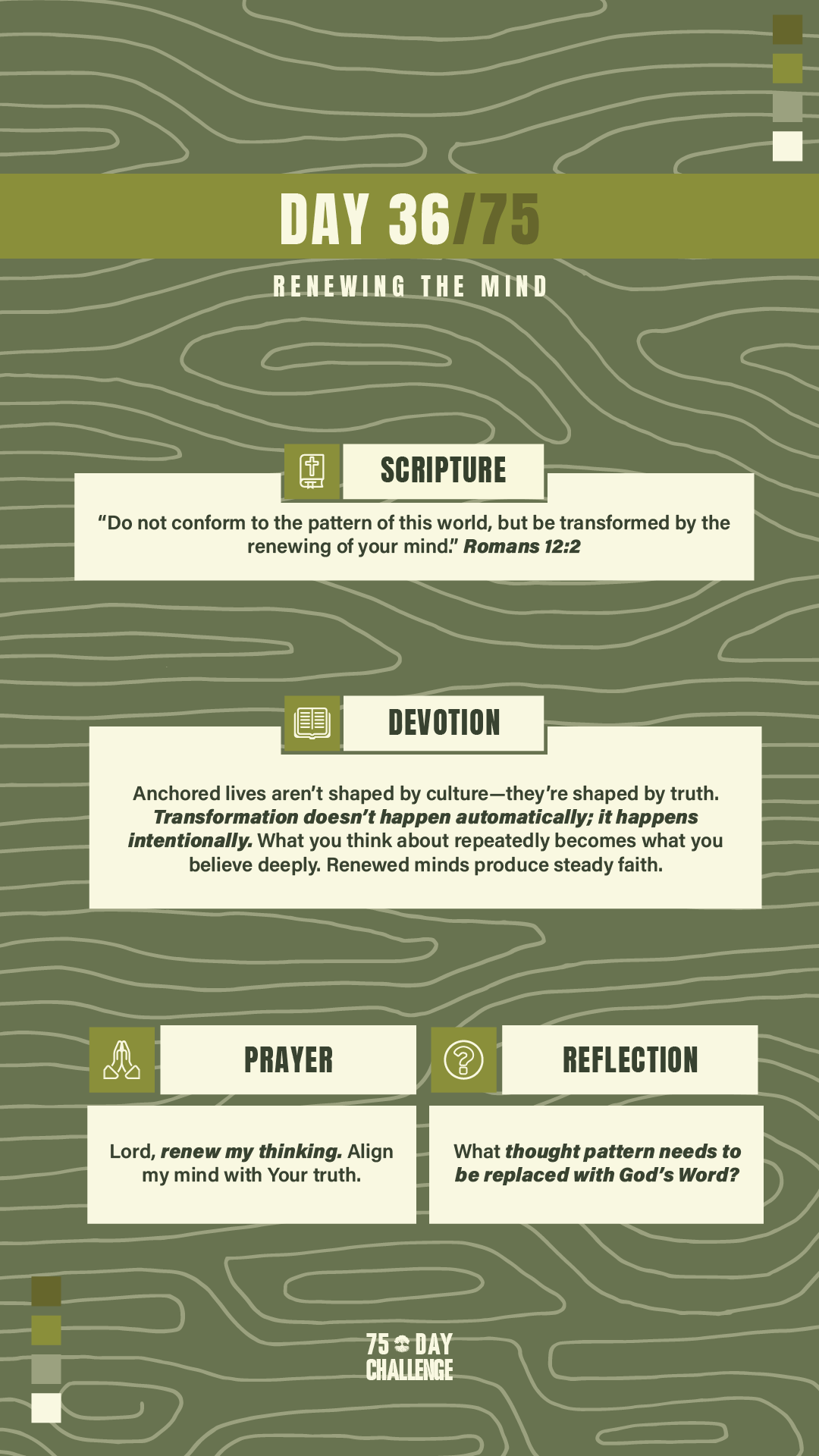75 Day 36.png