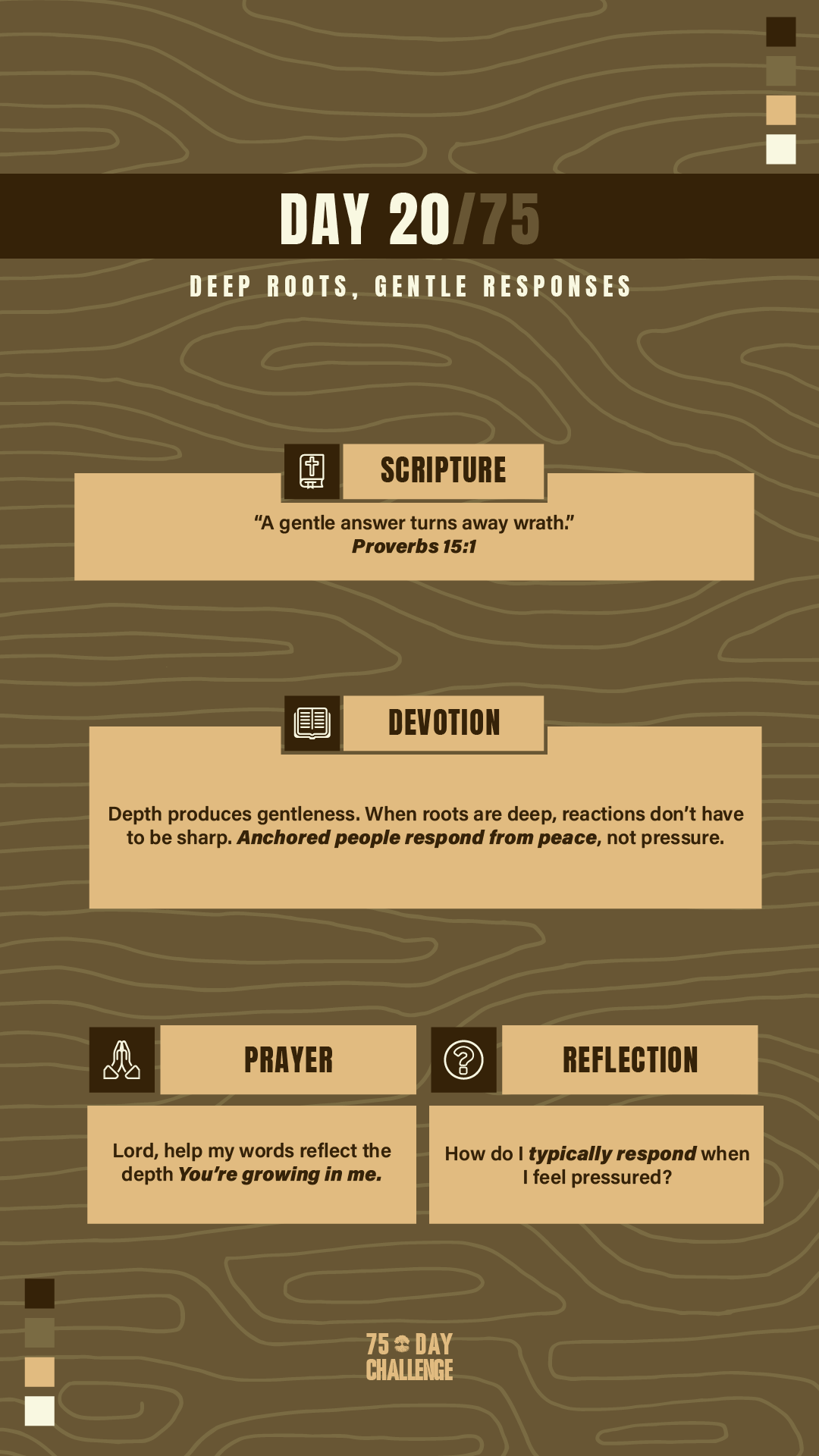 75 Day 20.png
