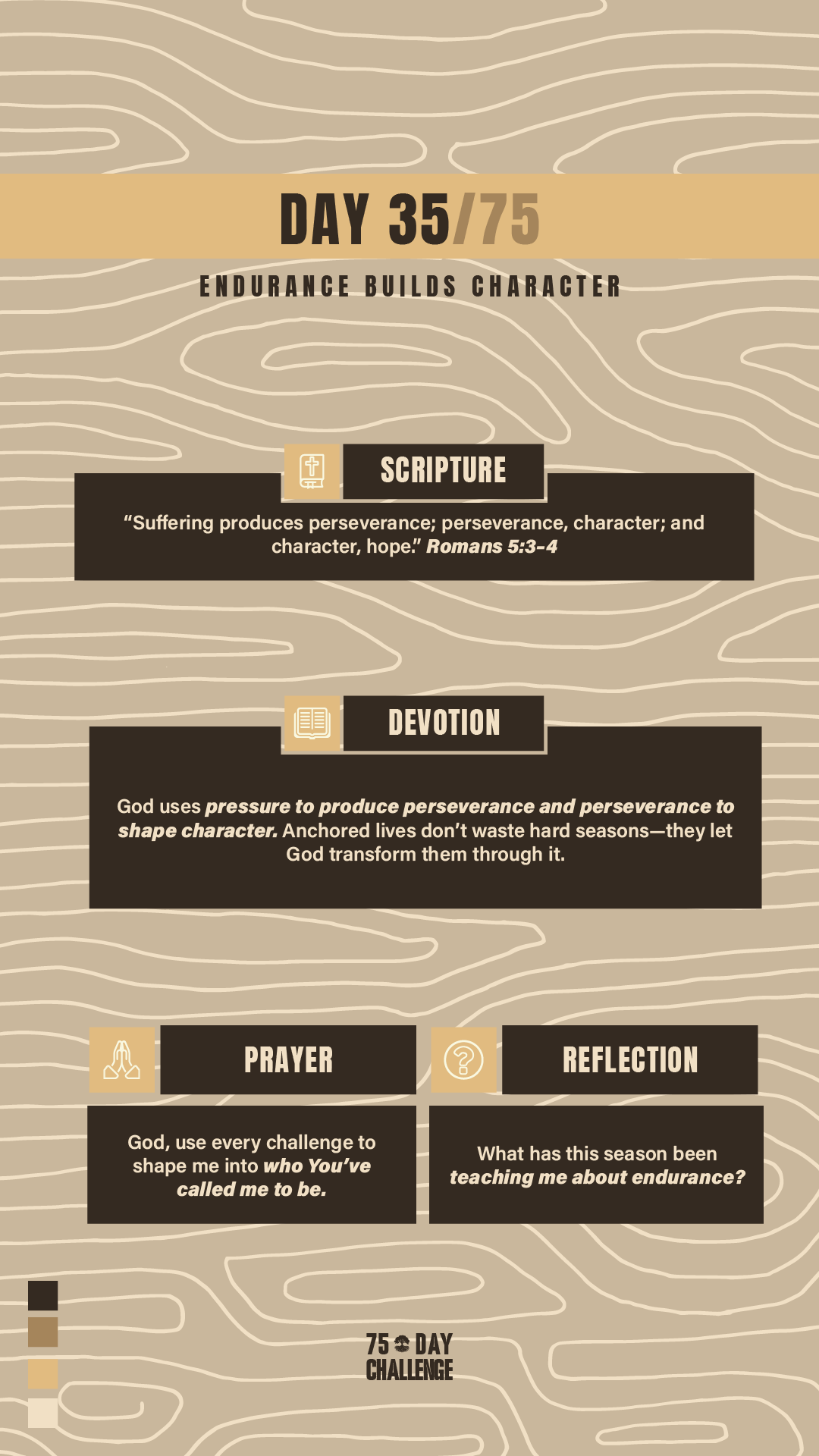 75 Day 35.png