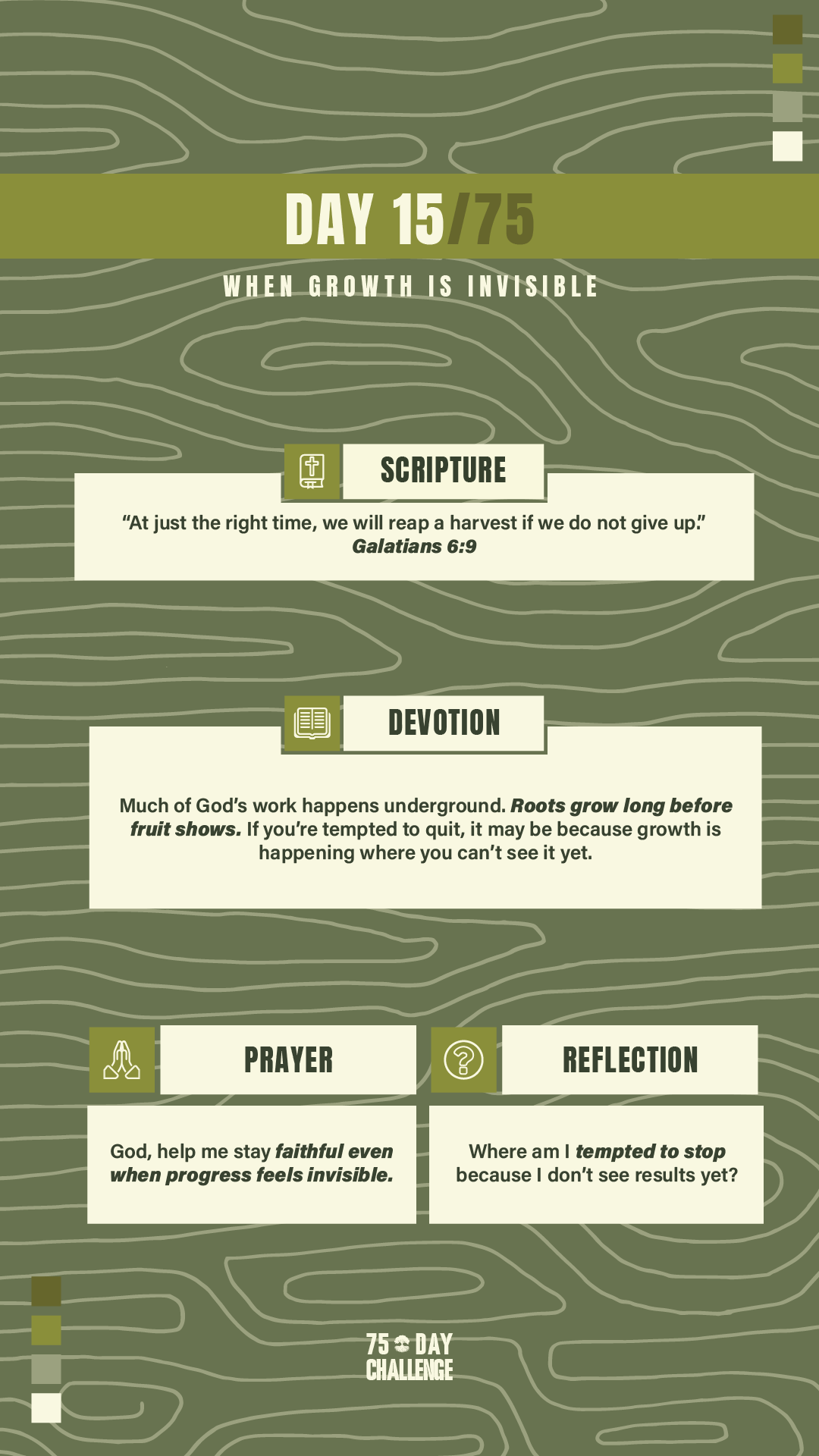 75 Day 15.png