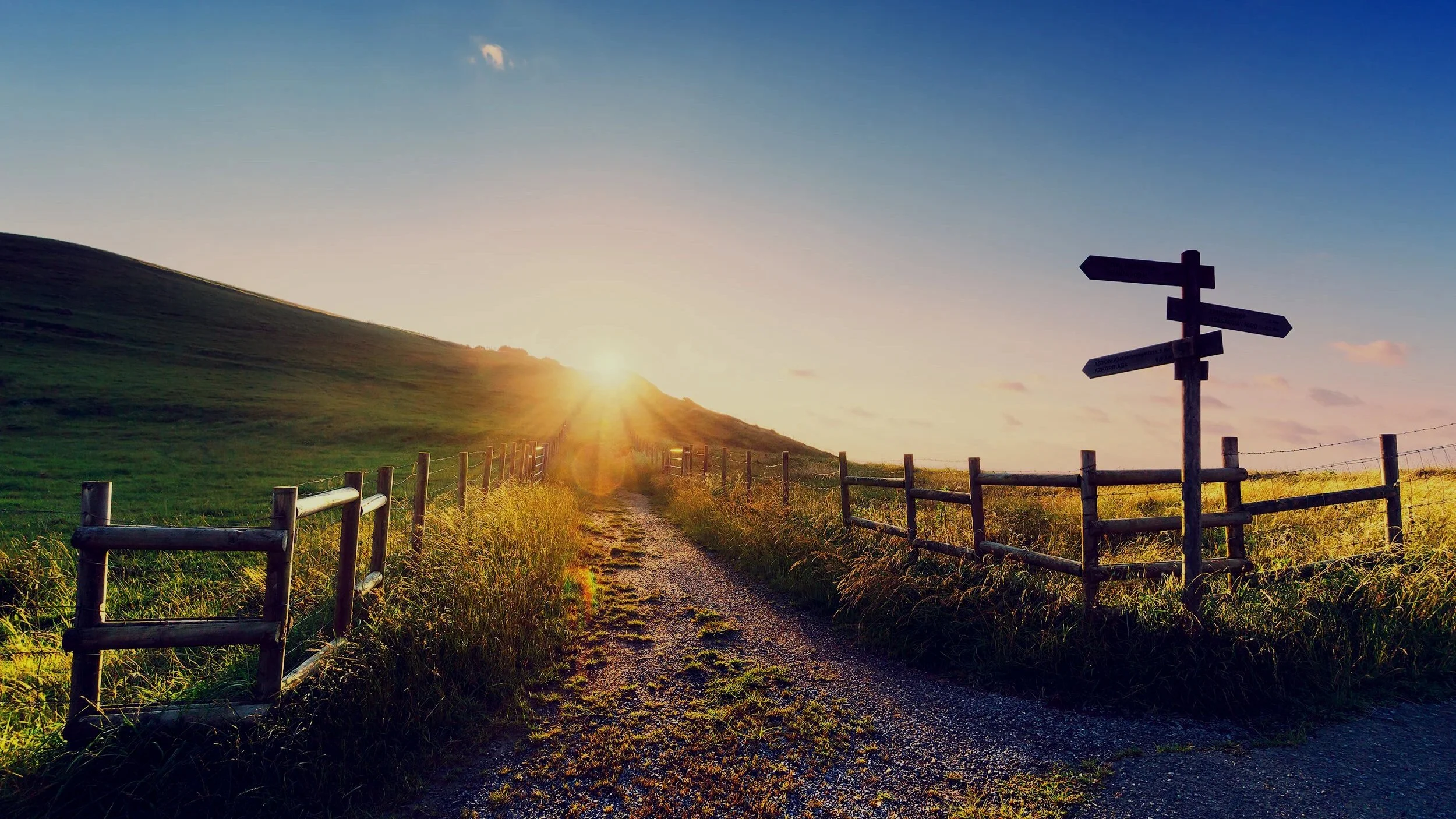 AdobeStock_85316319 - HOMEPAGE TOP.jpg