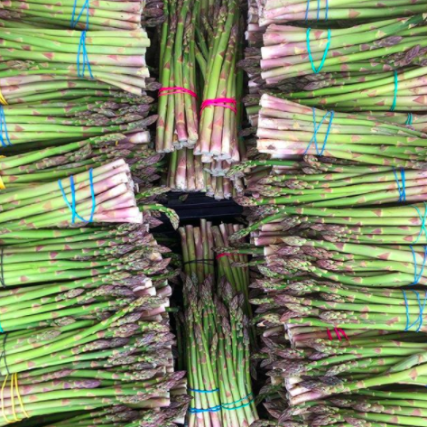 Vancouver Farmers Market update