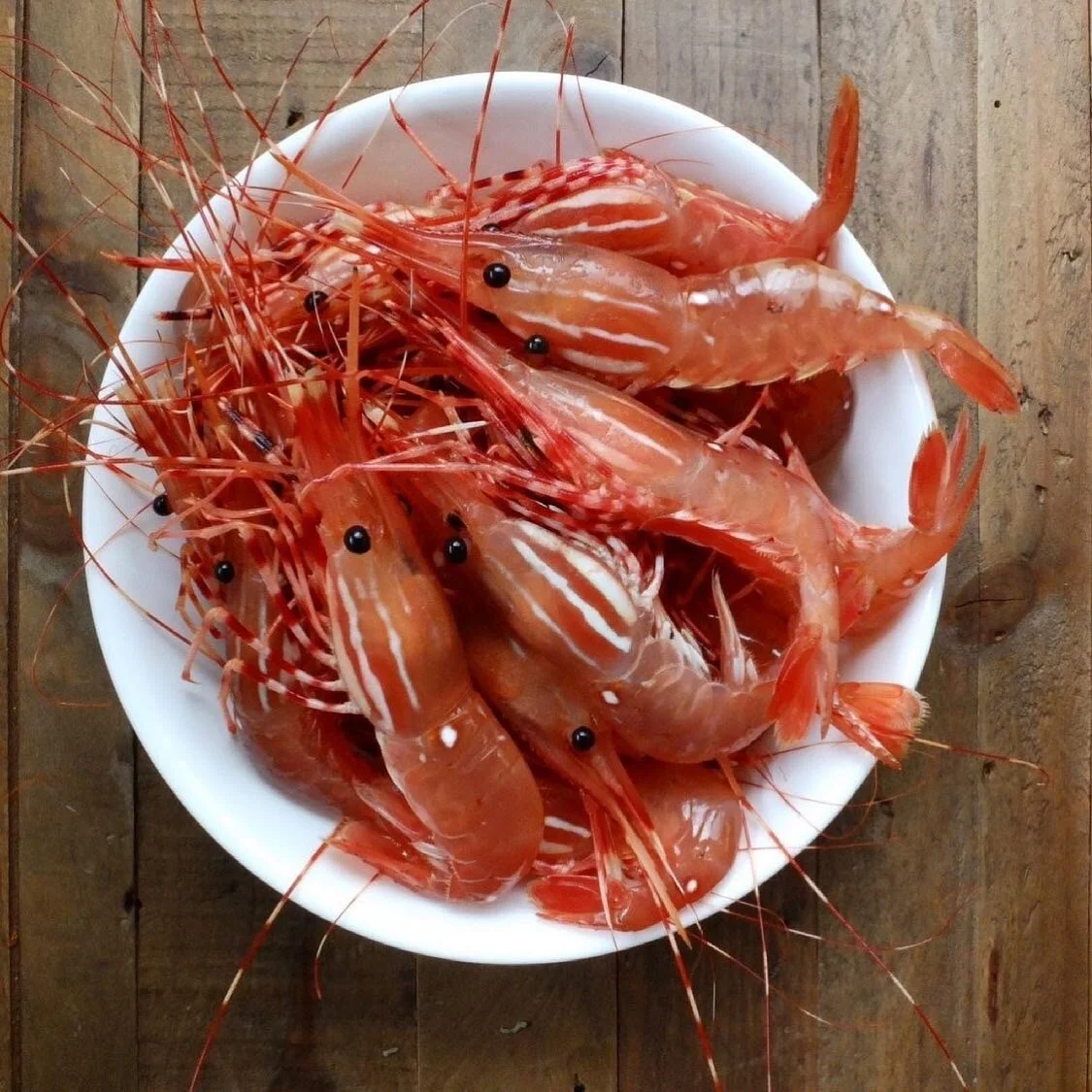 WE’RE PUTTING YOU ON THE SPOT