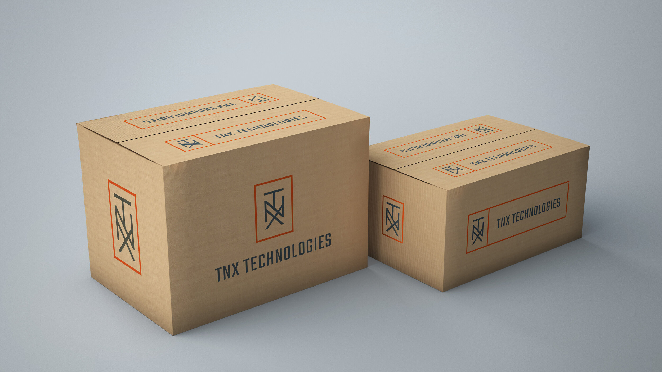 TNX-Cardboard Box-Mockup-opt1 copy.jpg