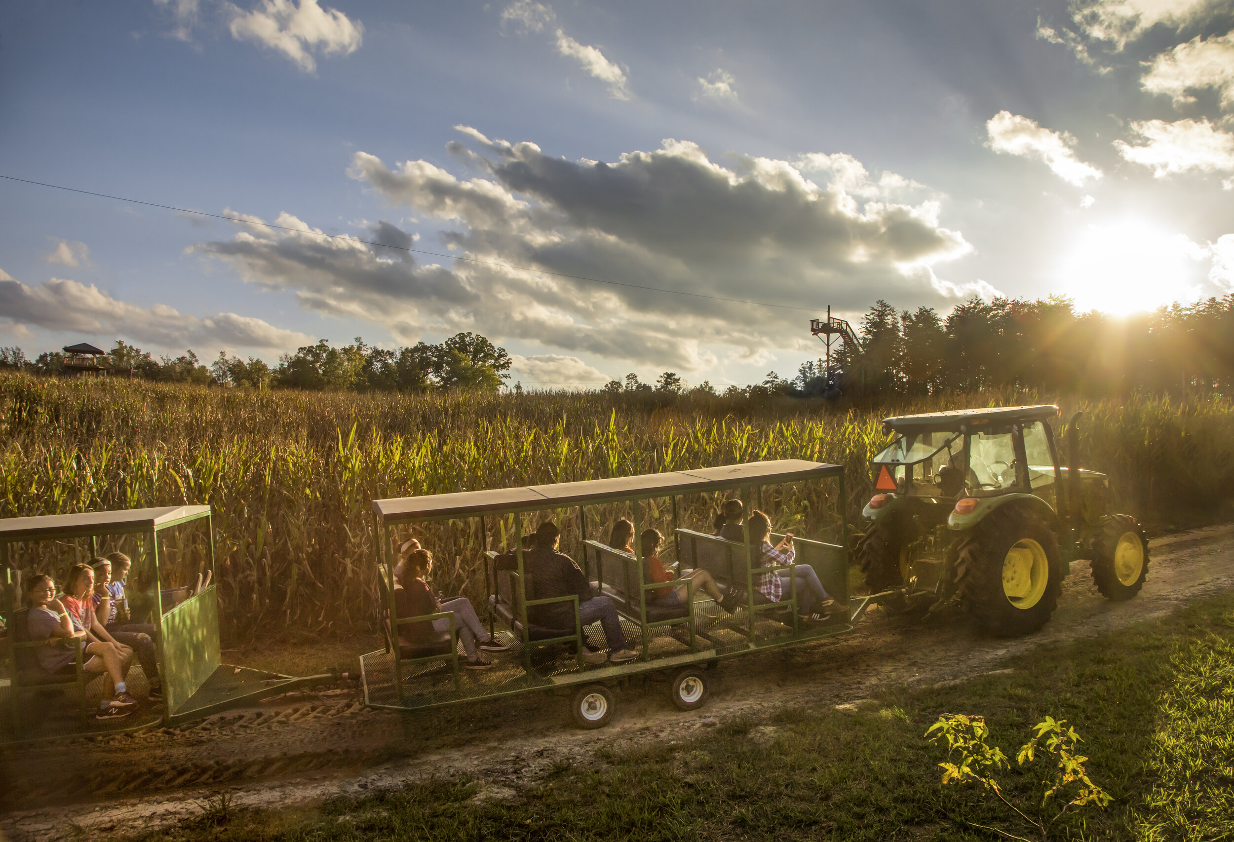 NCPN Kersey Valley Maize Adventure Archdale Tram Train Ride.jpg
