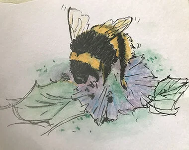 the steady drone of the bees