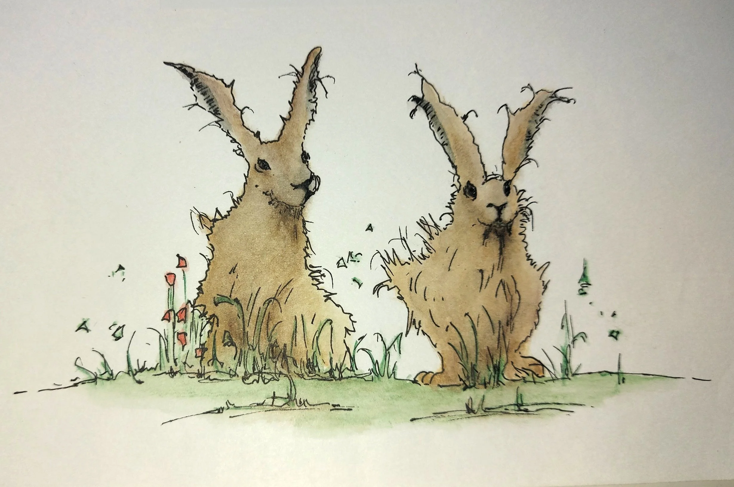 hares.jpg