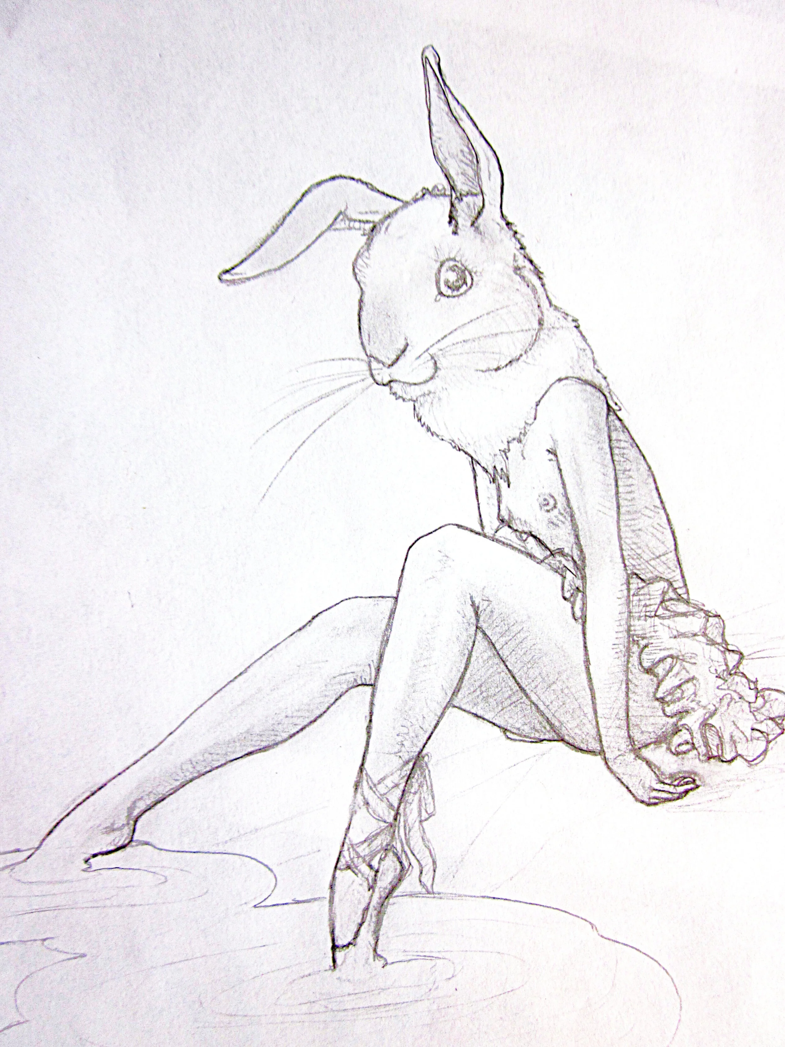 bunnybal.jpg