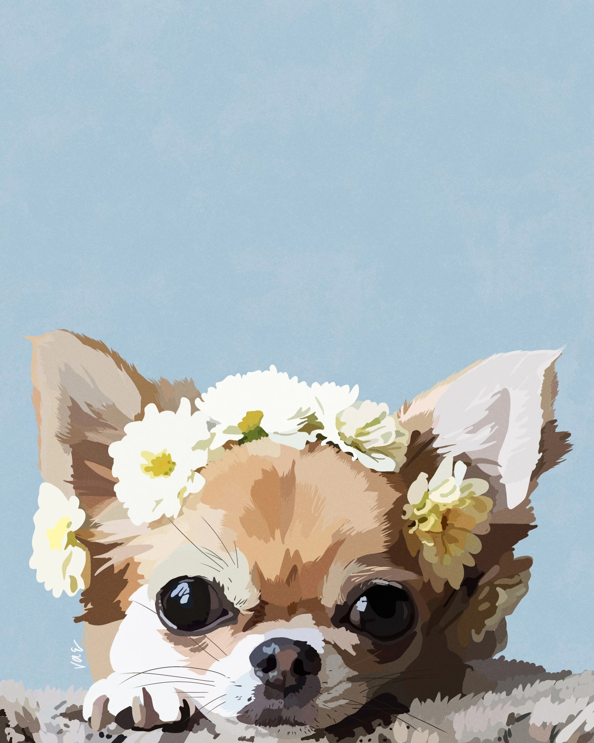 Daisy.jpg