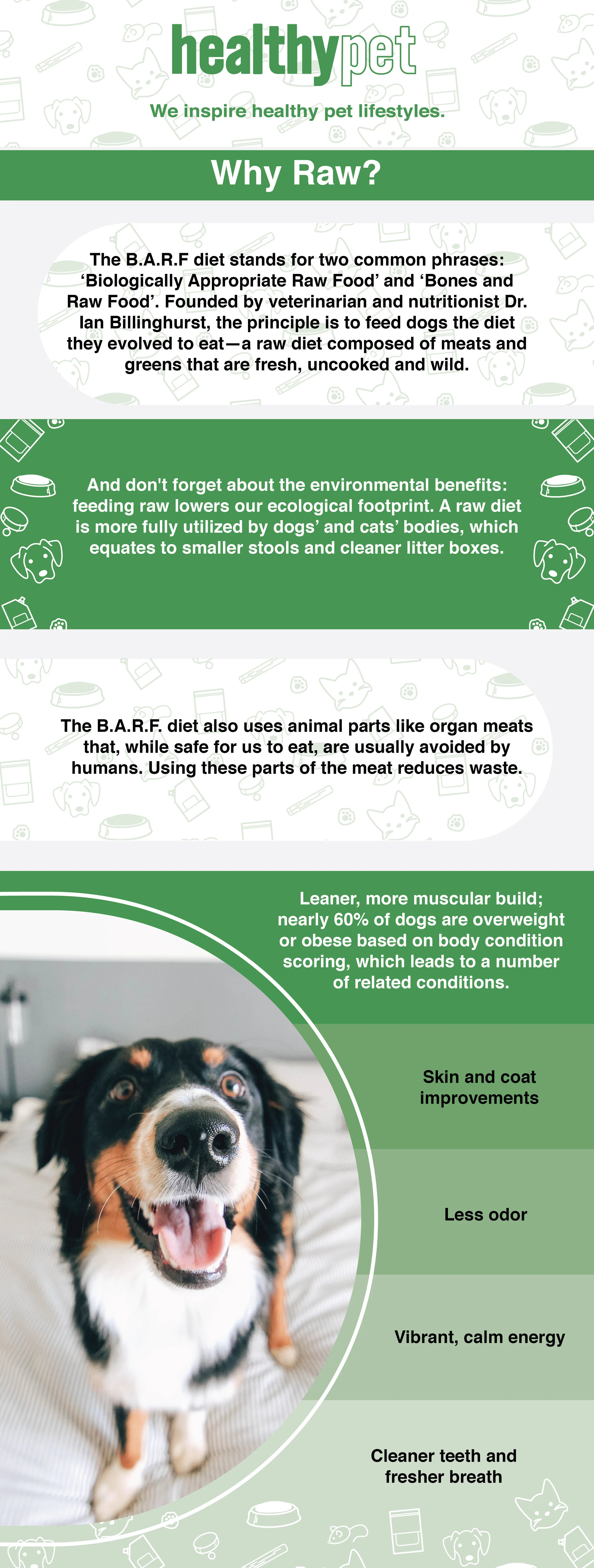 Raw InfoGraphic-01.jpg