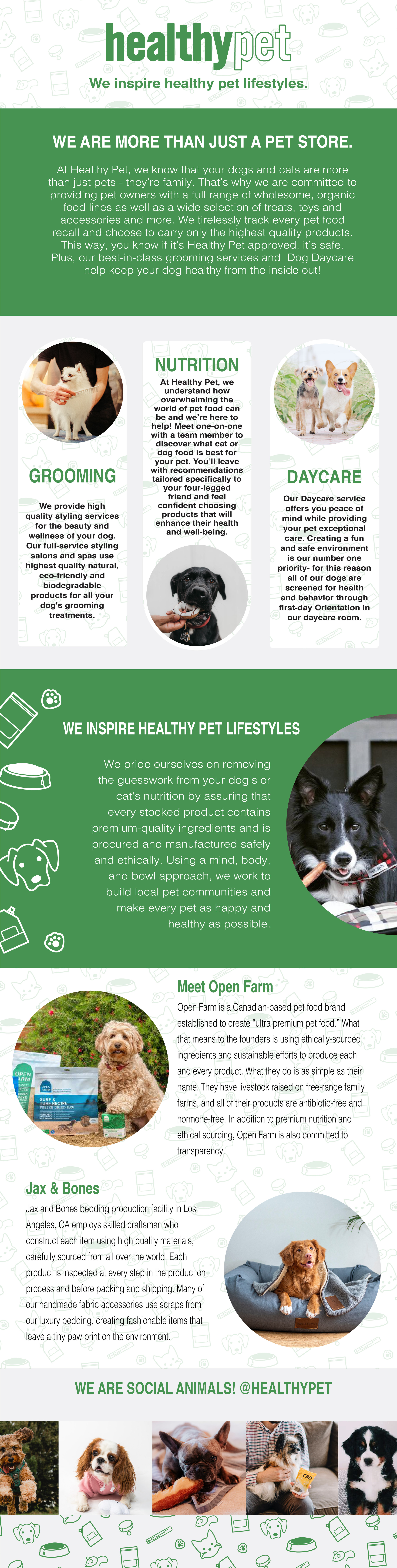 Mobile Web01_HS_Infographic02.jpg