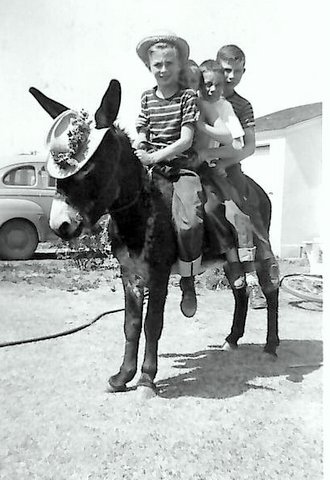 $2 Donkey, 1941