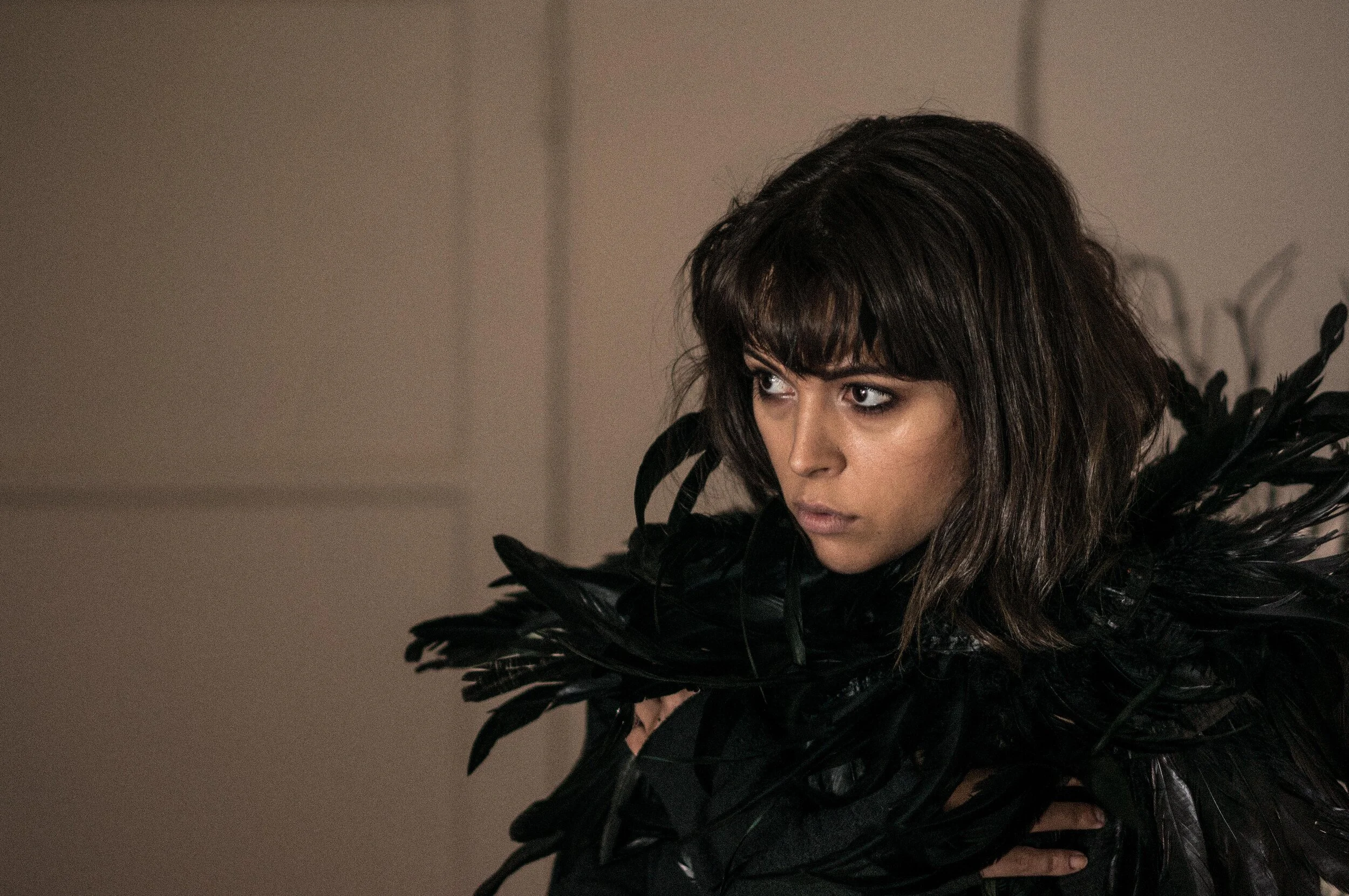 12 blackswan-20 copy.jpg