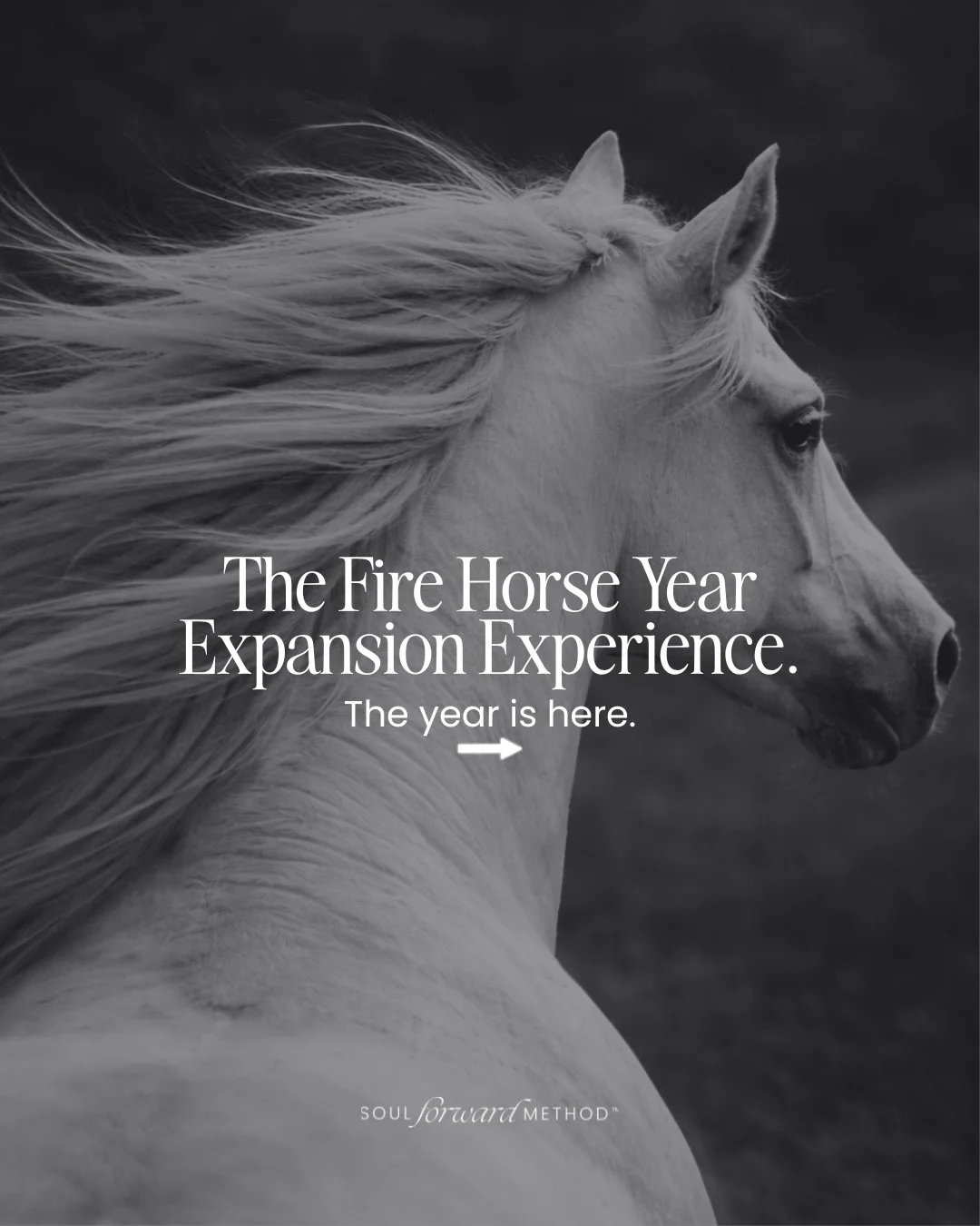 The Fire Horse hype is real (although can you feel it had its hay-day yesterday?).

The hype is &ldquo;more&rdquo; power, momentum, unstoppable-ness and us giving many of us life.

But it&rsquo;s also just more you.

This year is going to amplify you