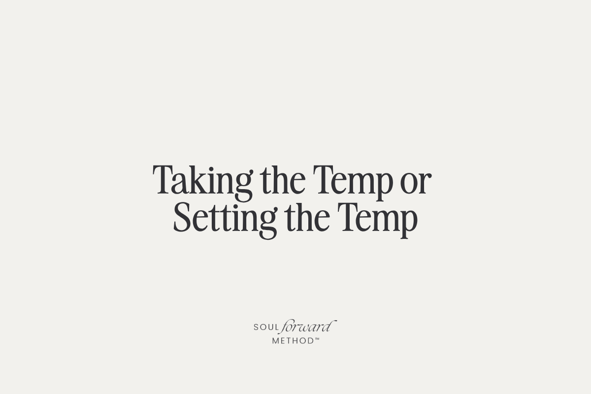 Taking the Temp or Setting the Temp