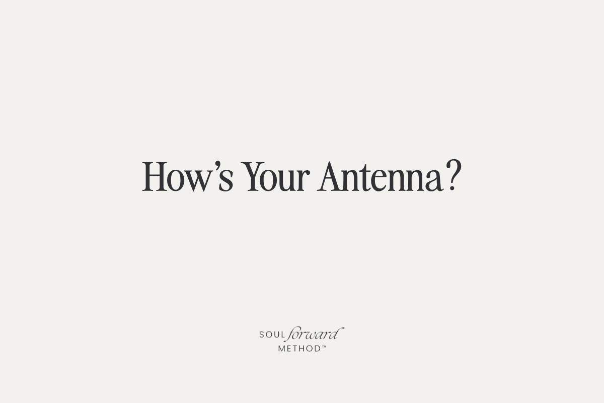 How's Your Antenna?