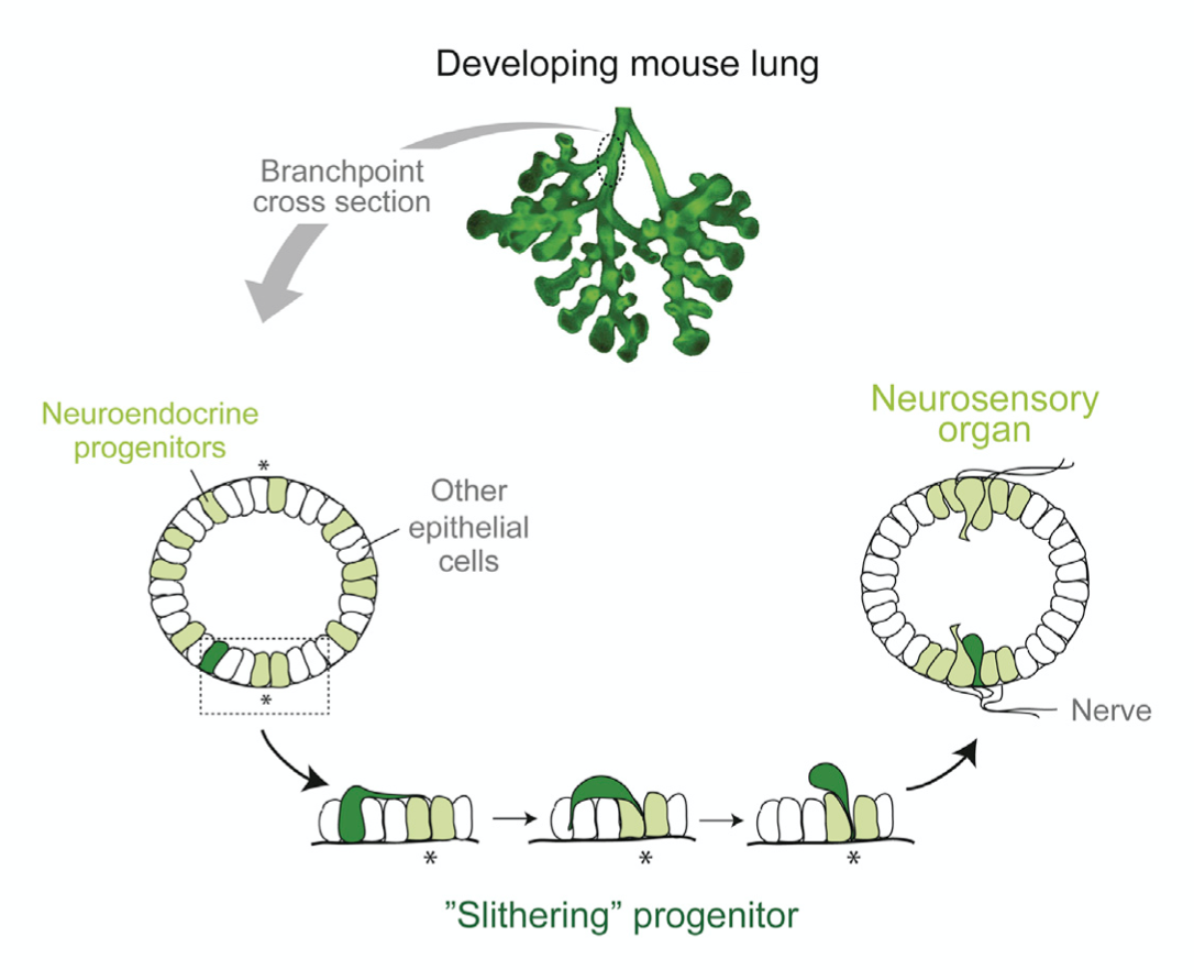 Screen Shot 2020-04-20 at 5.03.20 AM.png